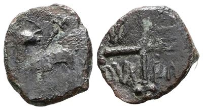 Salerno. Guglielmo i (1154-1166). Follaro - Cappelli 159 . Cu; 1,13gr. Rr