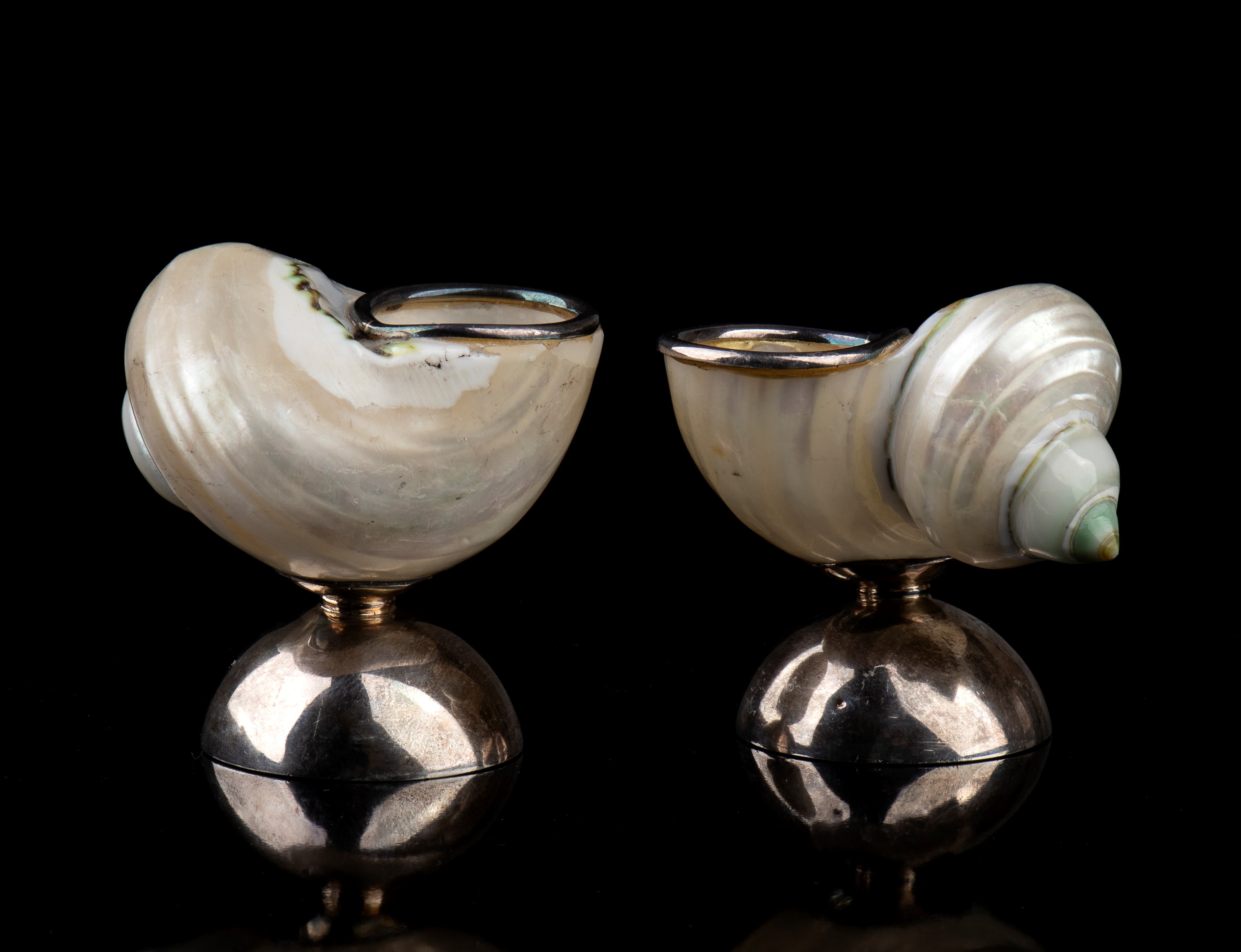 Coppia di conchiglie, montate in argento 925/1000 (inizio XX secolo)