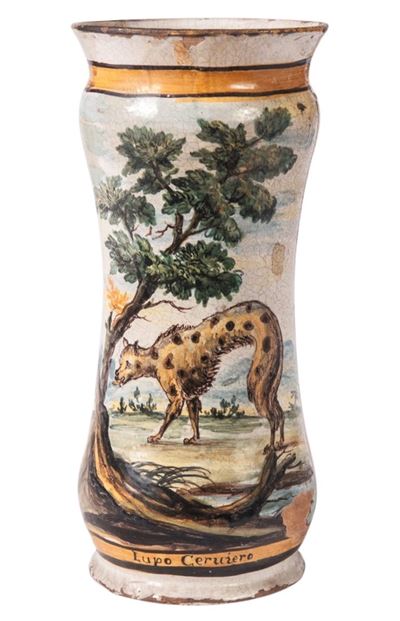 Vaso da Farmacia, Albarello