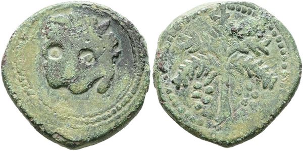 MESSINA. REGNO DI SICILIA. Guglielmo II (1166-1189). Trifollaro (1180-1185). Mir 36, Spahr 117; Cu; 11,35gr