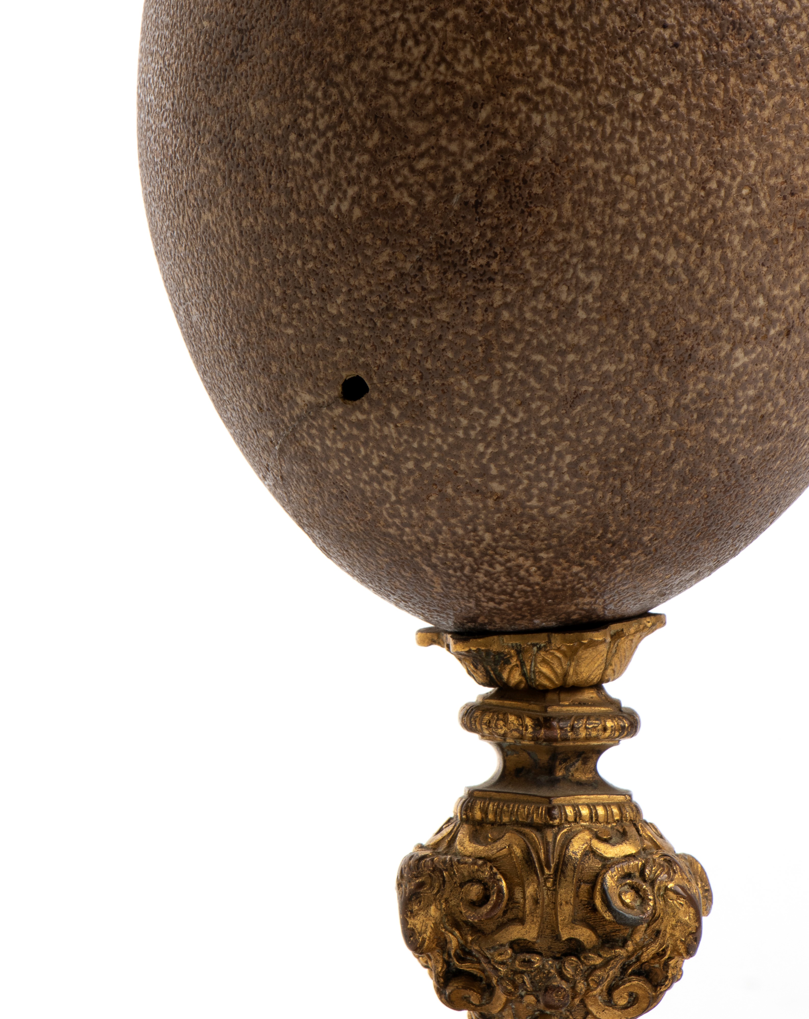 XIX secolo, Uovo di emù con base in bronzo dorato cesellato e sbalzato, decorazione a delfini e t...