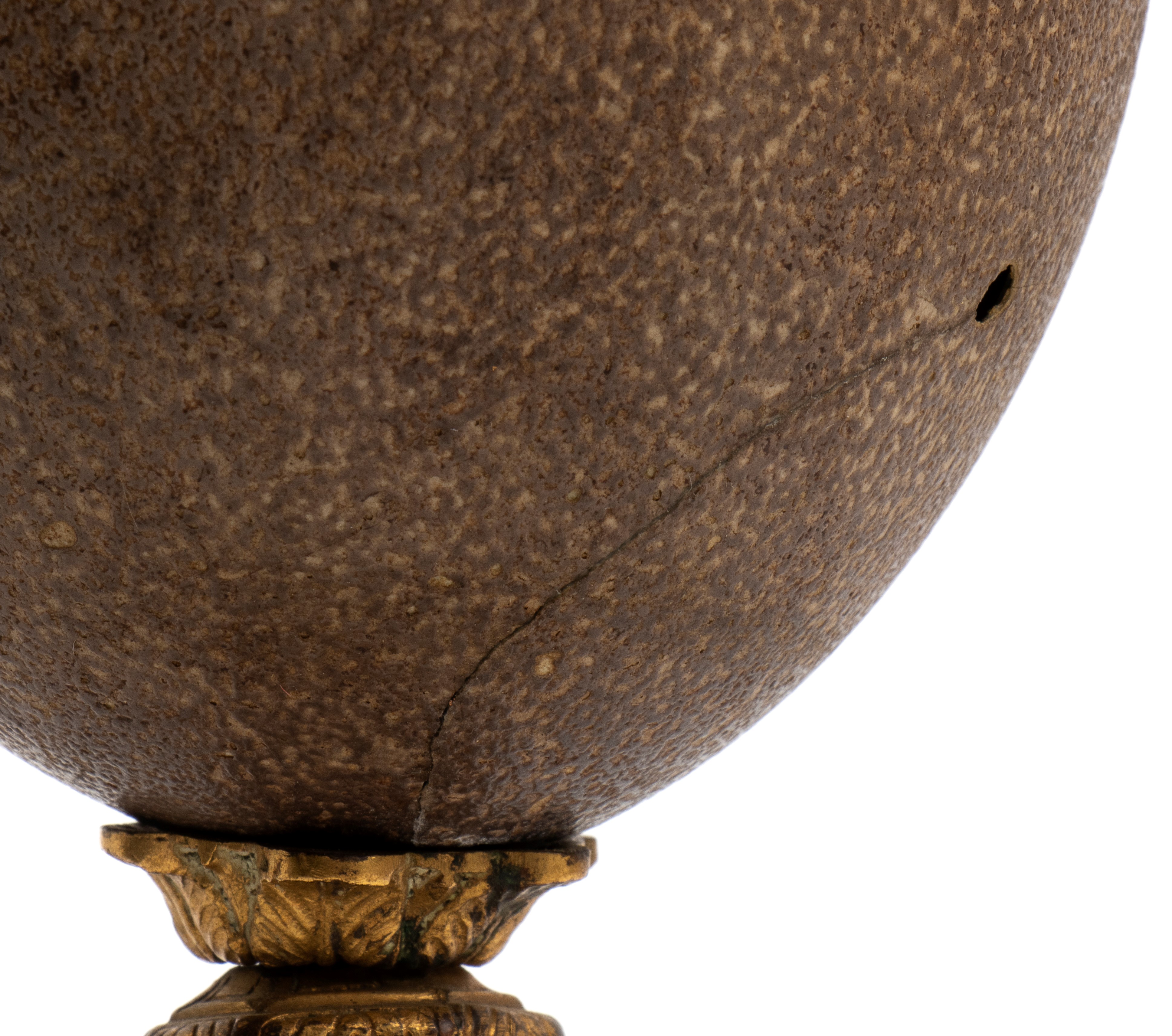 XIX secolo, Uovo di emù con base in bronzo dorato cesellato e sbalzato, decorazione a delfini e t...