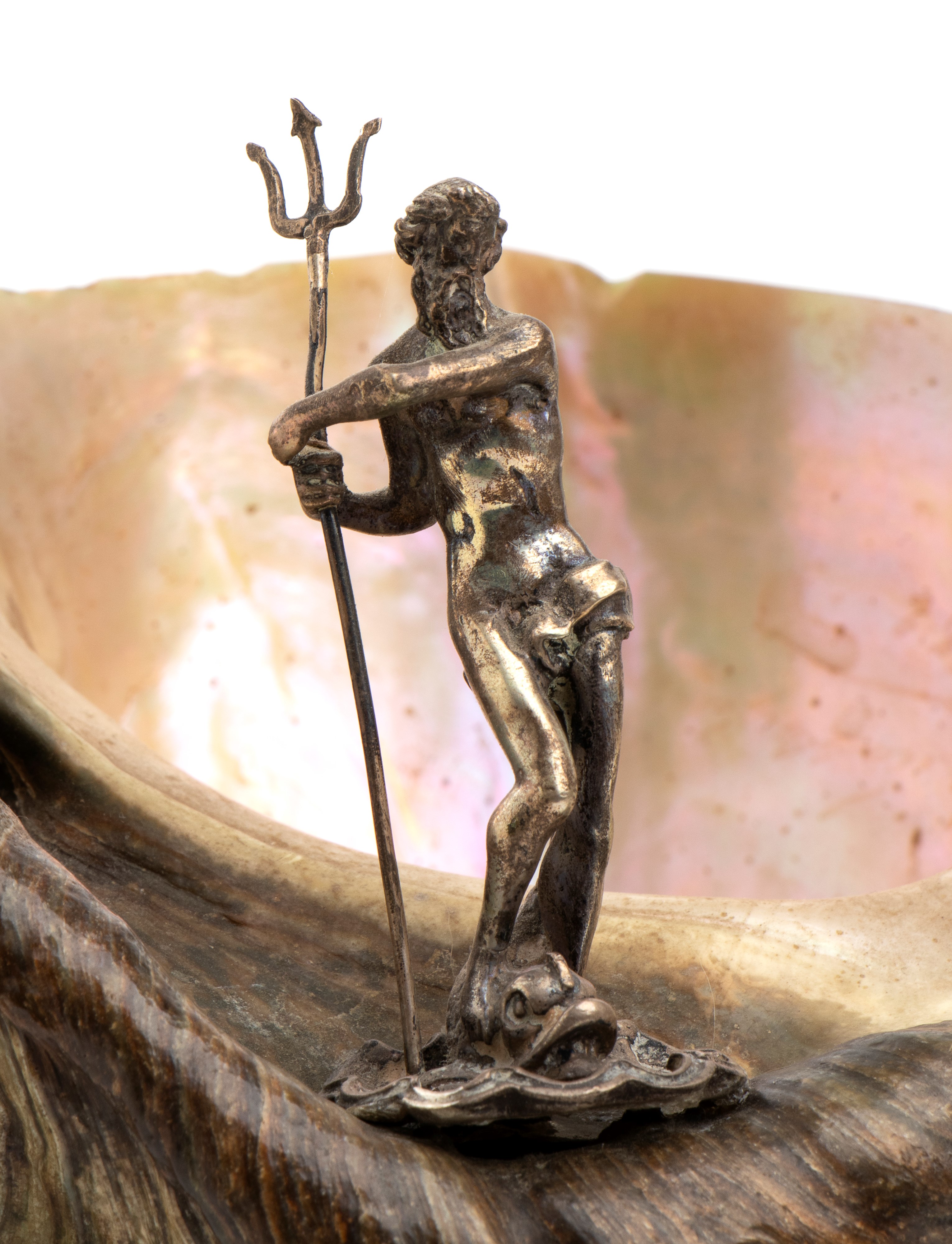 Coppa in argento con nautilus