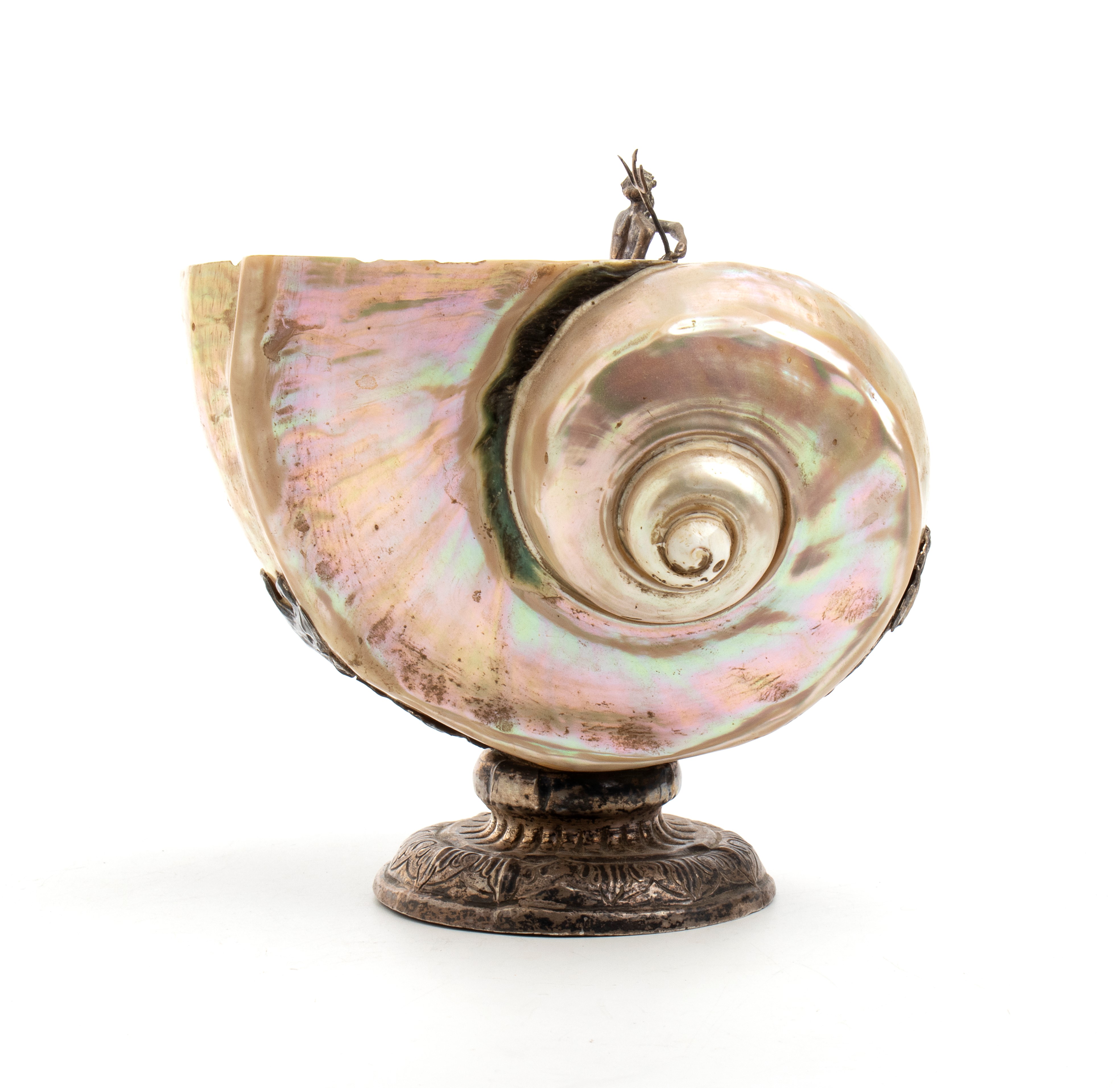 Coppa in argento con nautilus