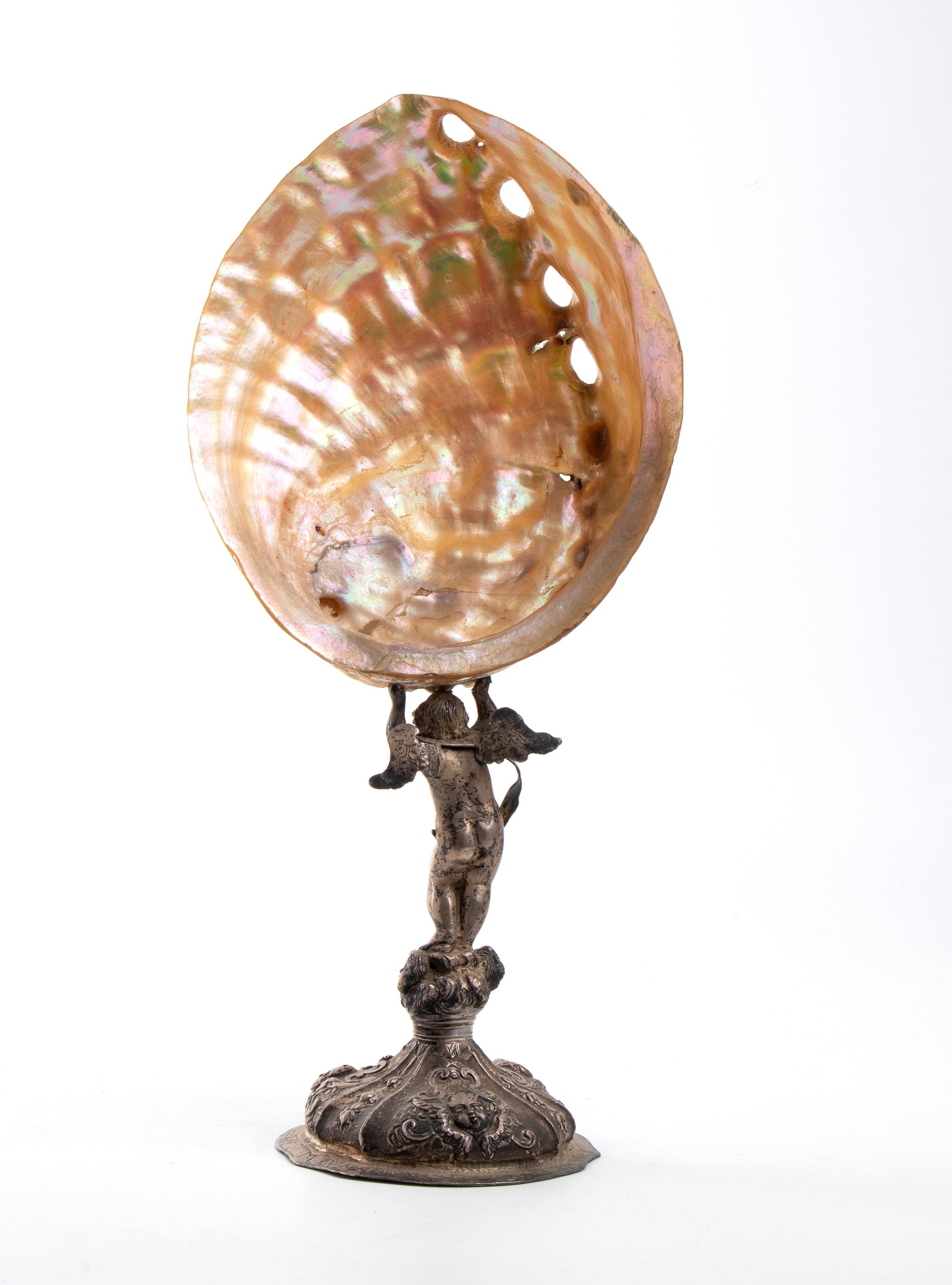 Conchiglia Haliotis su base in argento