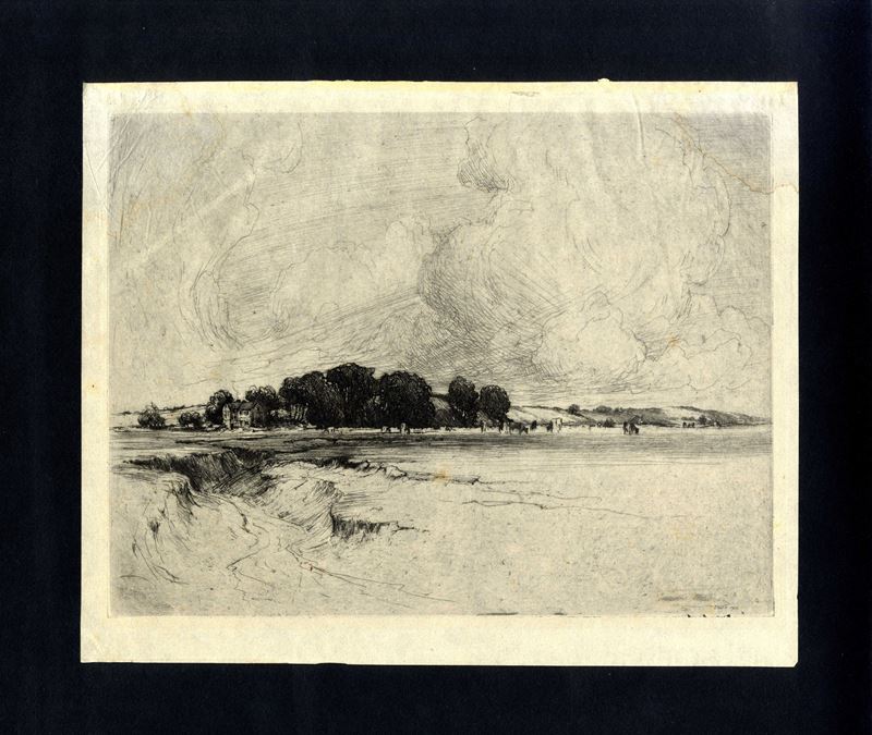 Frank Burridge - Oxcliffe Marsh - le Paludi di Oxcliffe, nel Lancashire - Uk ; 1900