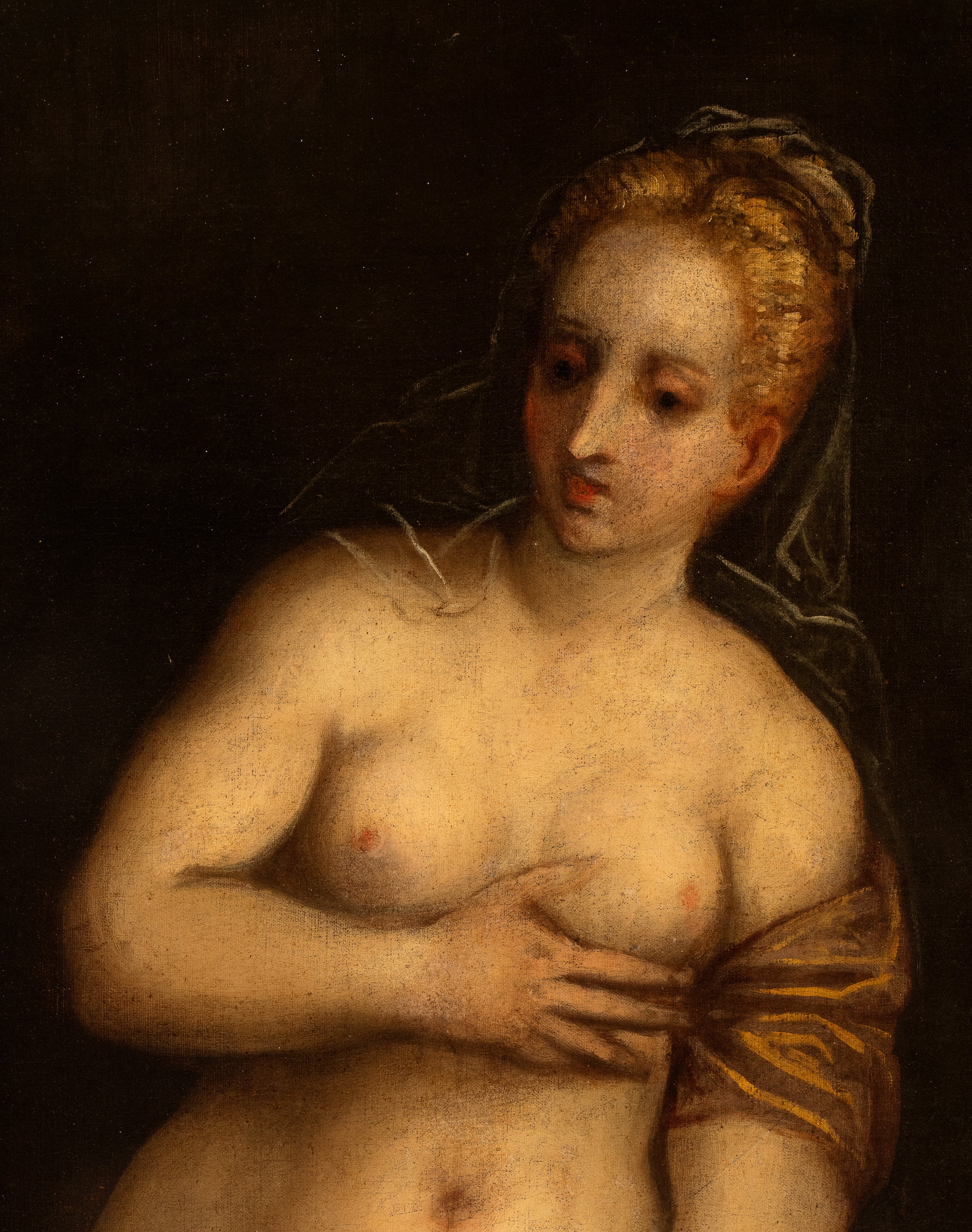 Artista Attivo a Venezia, XVI Secolo - Venere