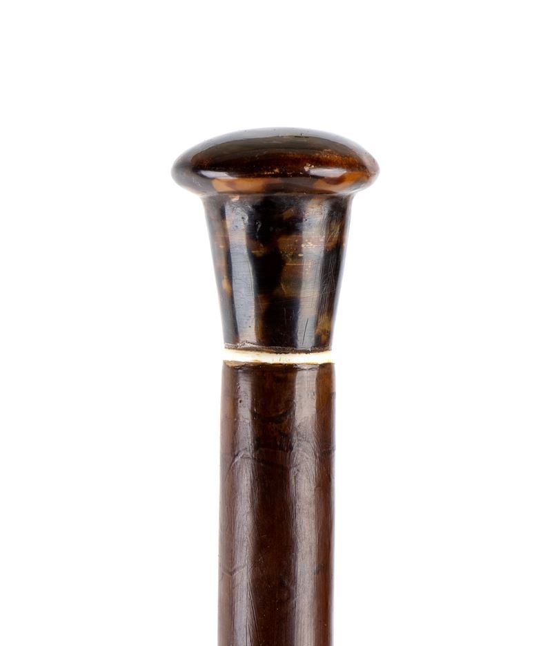 Bastone da passeggio con manico in tartaruga e avorio marino