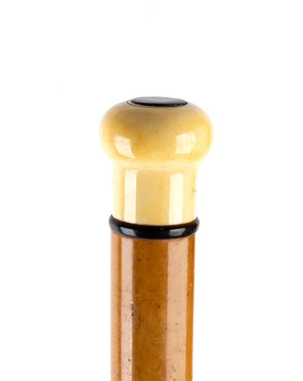 Bastone da passeggio con manico in tartaruga e avorio marino