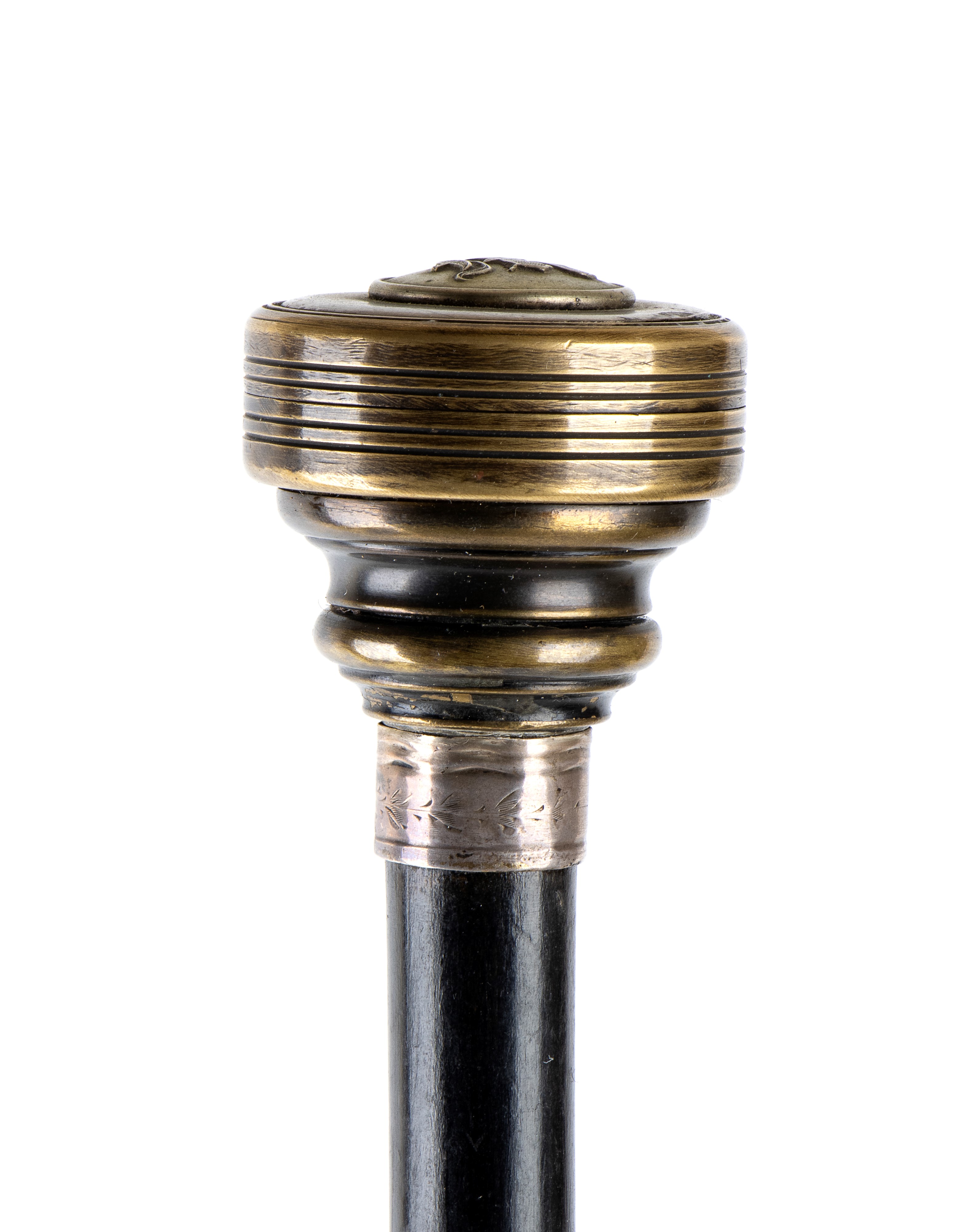 Bastone da passeggio