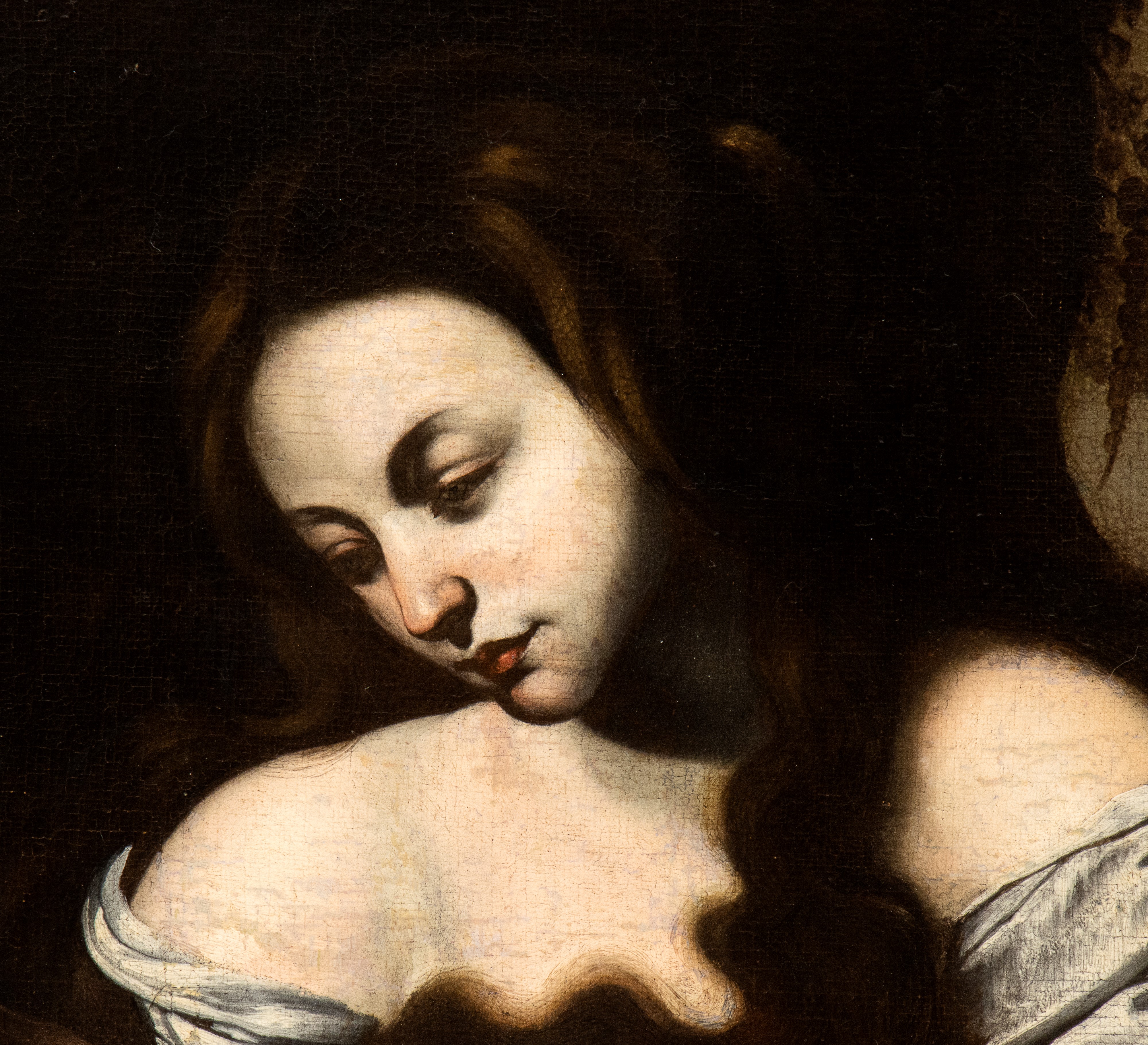 Massimo Stanzione - Maddalena Penitente