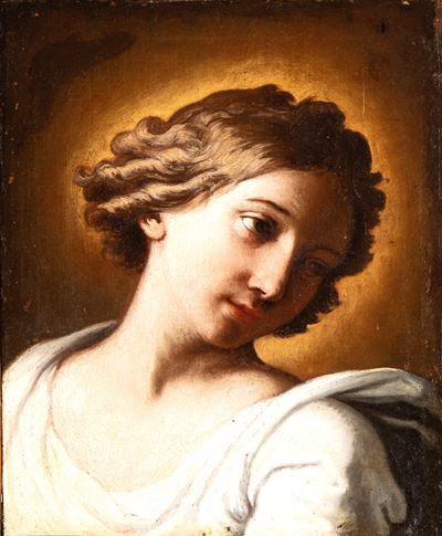 Testa di Angelo