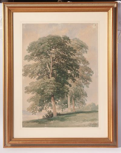 Paesaggio con Alberi