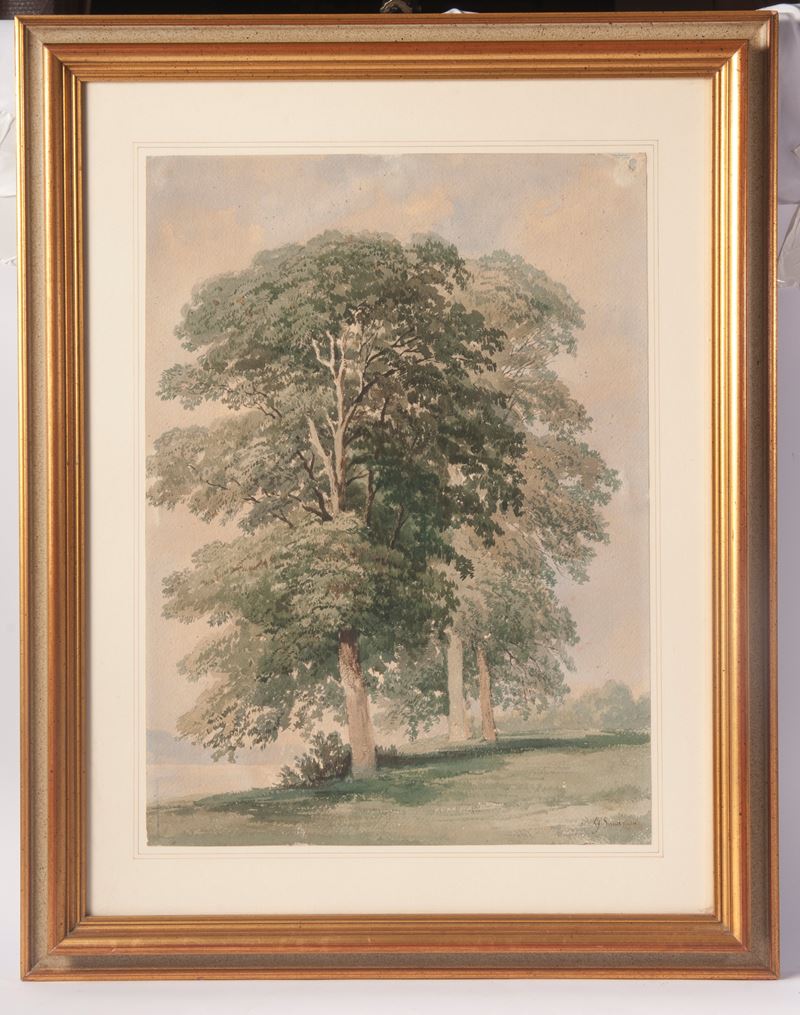 Gabriele Smargiassi - Paesaggio con Alberi