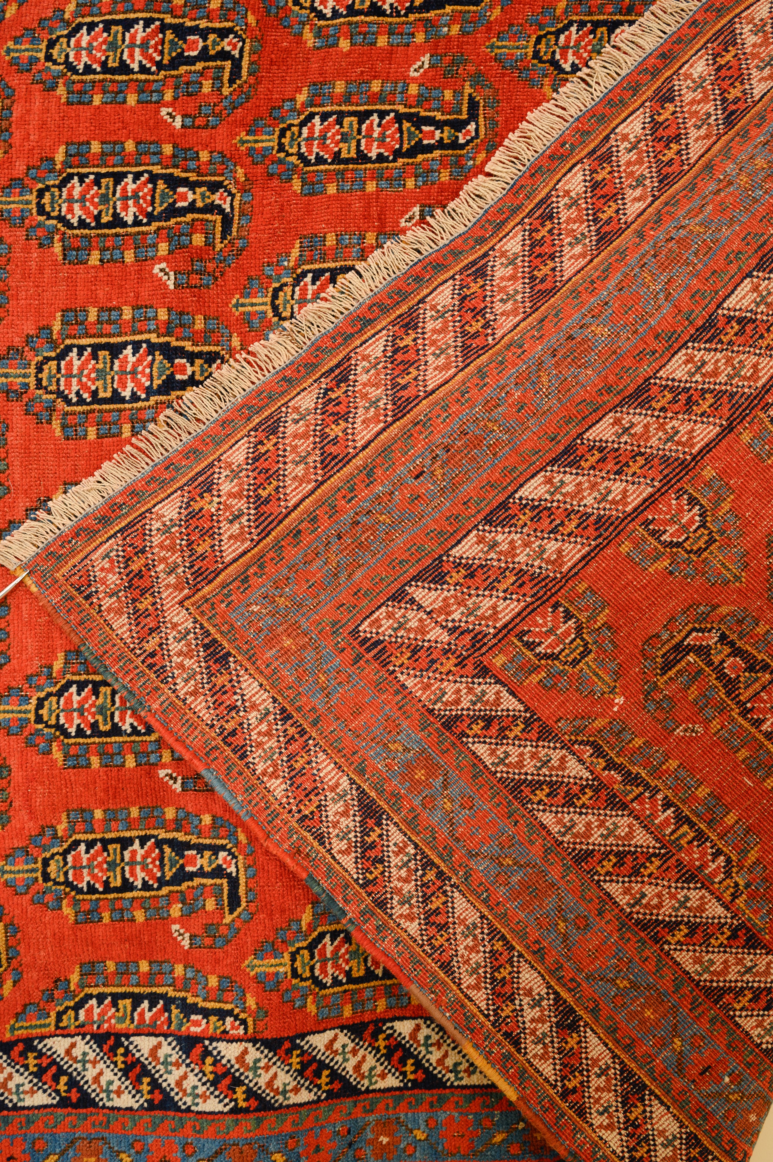 Tappeto Afshar