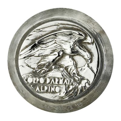 P Corpo D'armata Alpino 46 X 41 MM