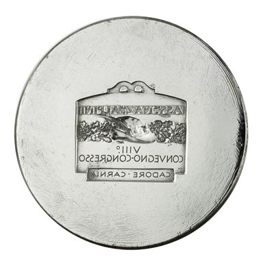 N Ass Nazionale Alpini VIII° Convegno-congresso Cadore-carnia 67 X 46 MM