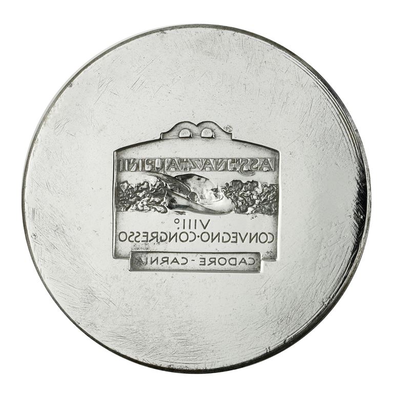 N Ass Nazionale Alpini VIII° Convegno-congresso Cadore-carnia 67 X 46 MM