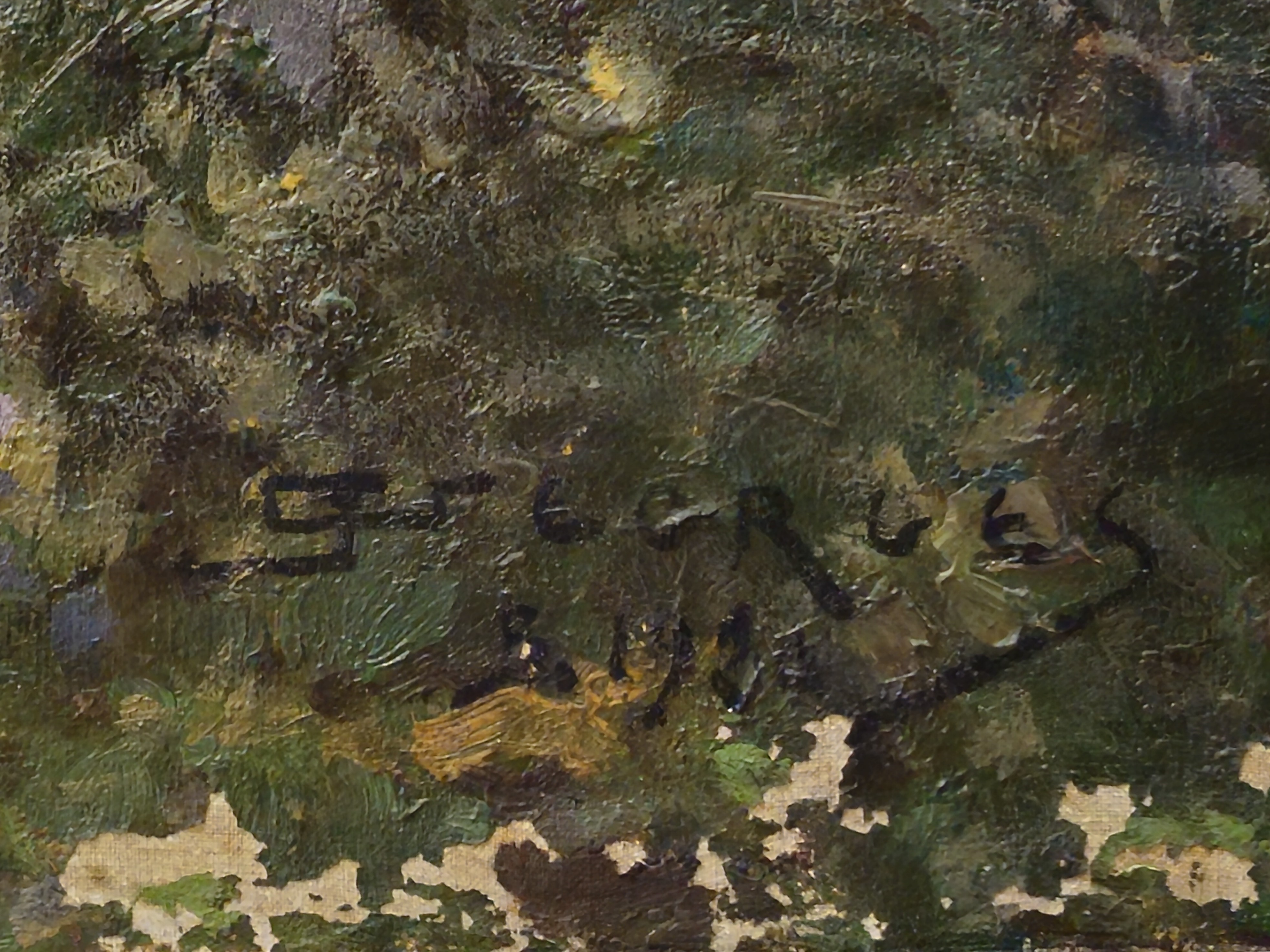 Paesaggio Fluviale