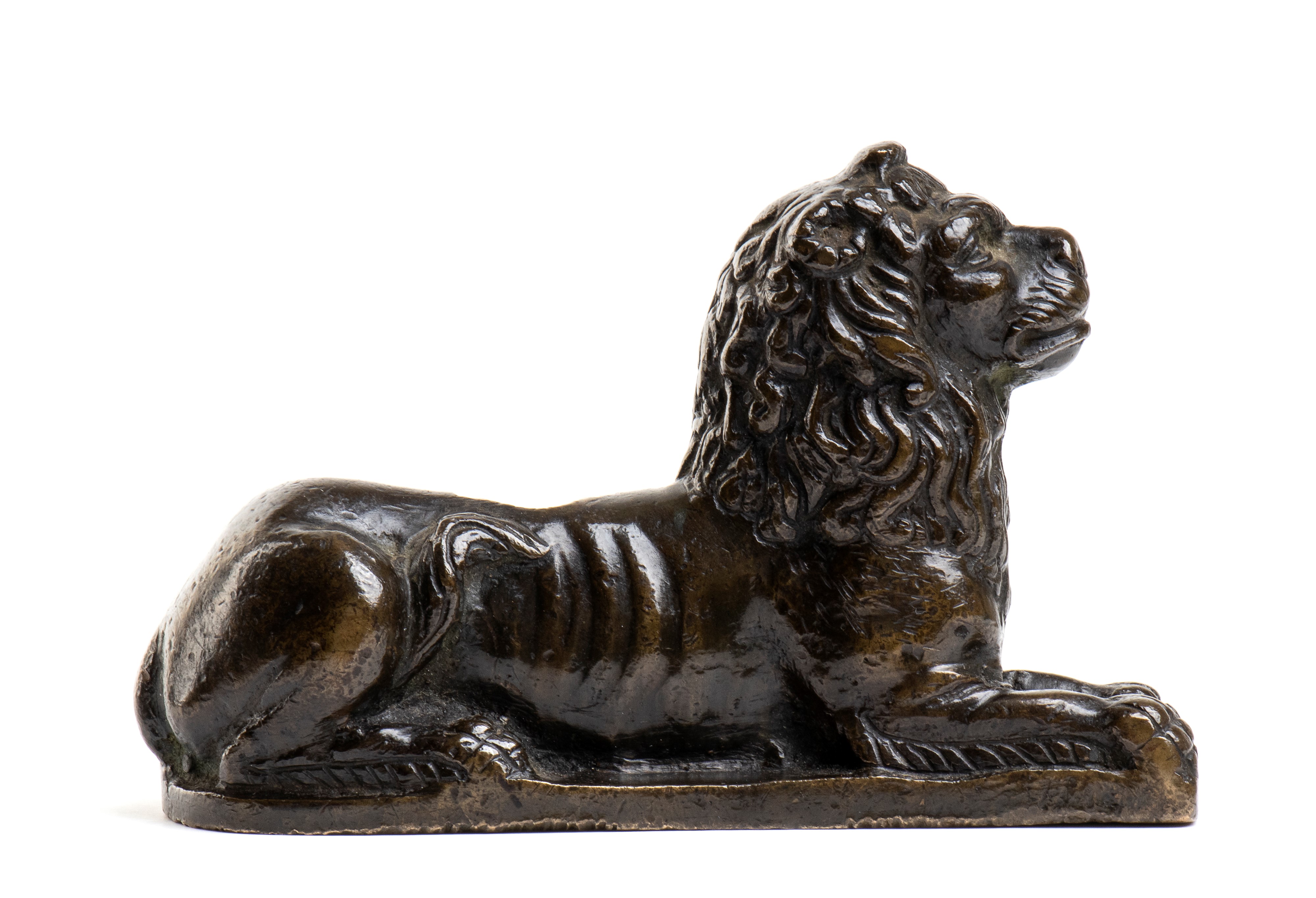 Leone accosciato