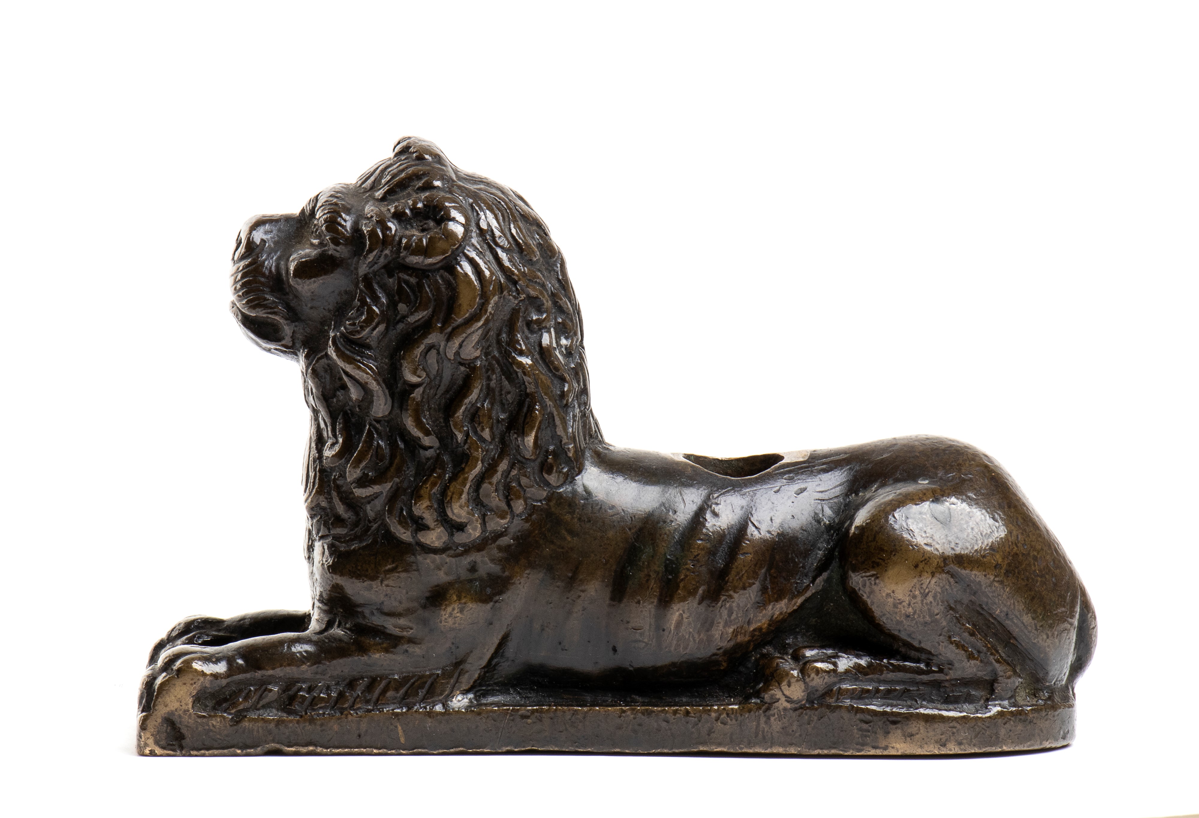 Leone accosciato