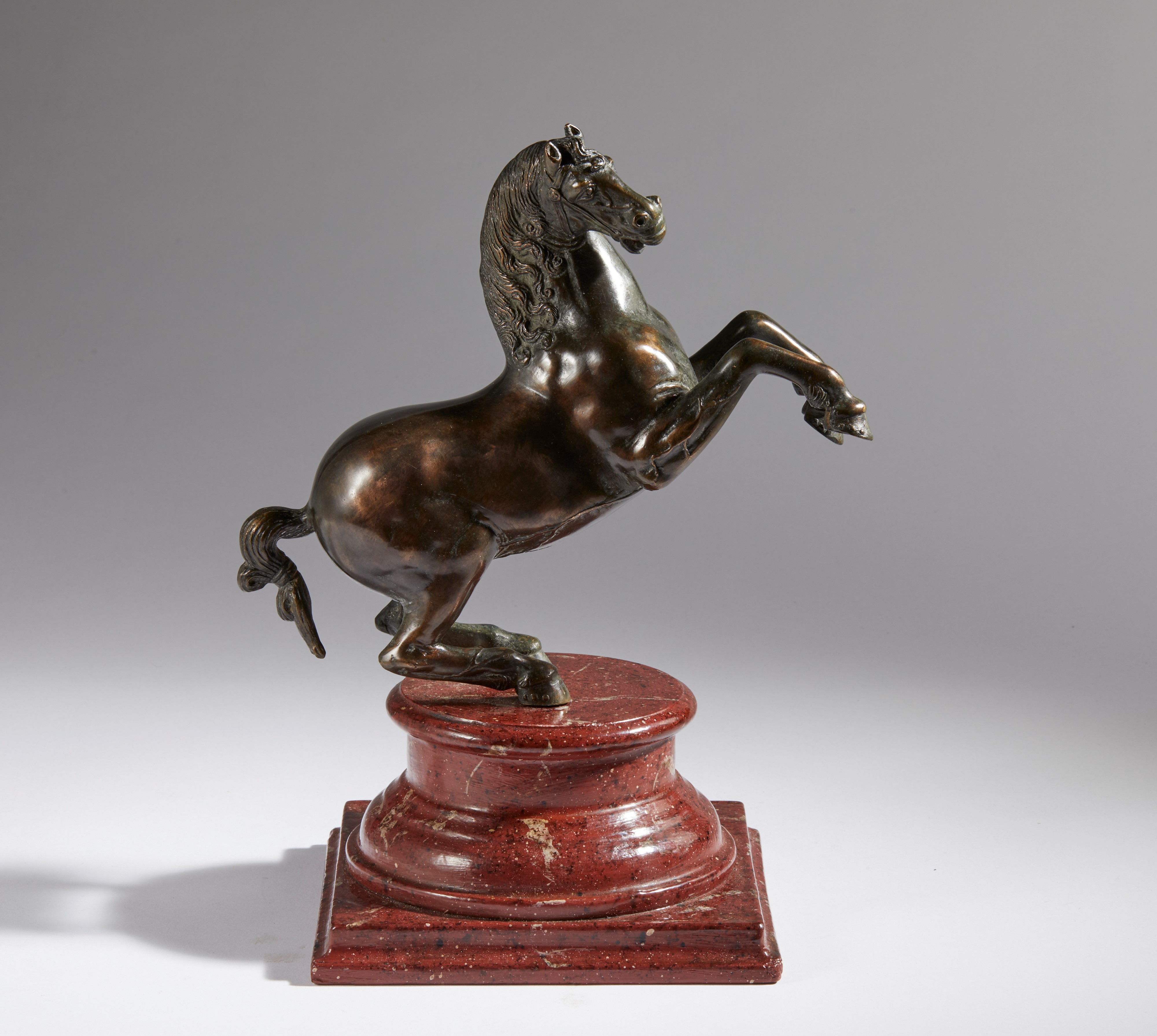 Francesco Fanelli - Cavallo Rampante