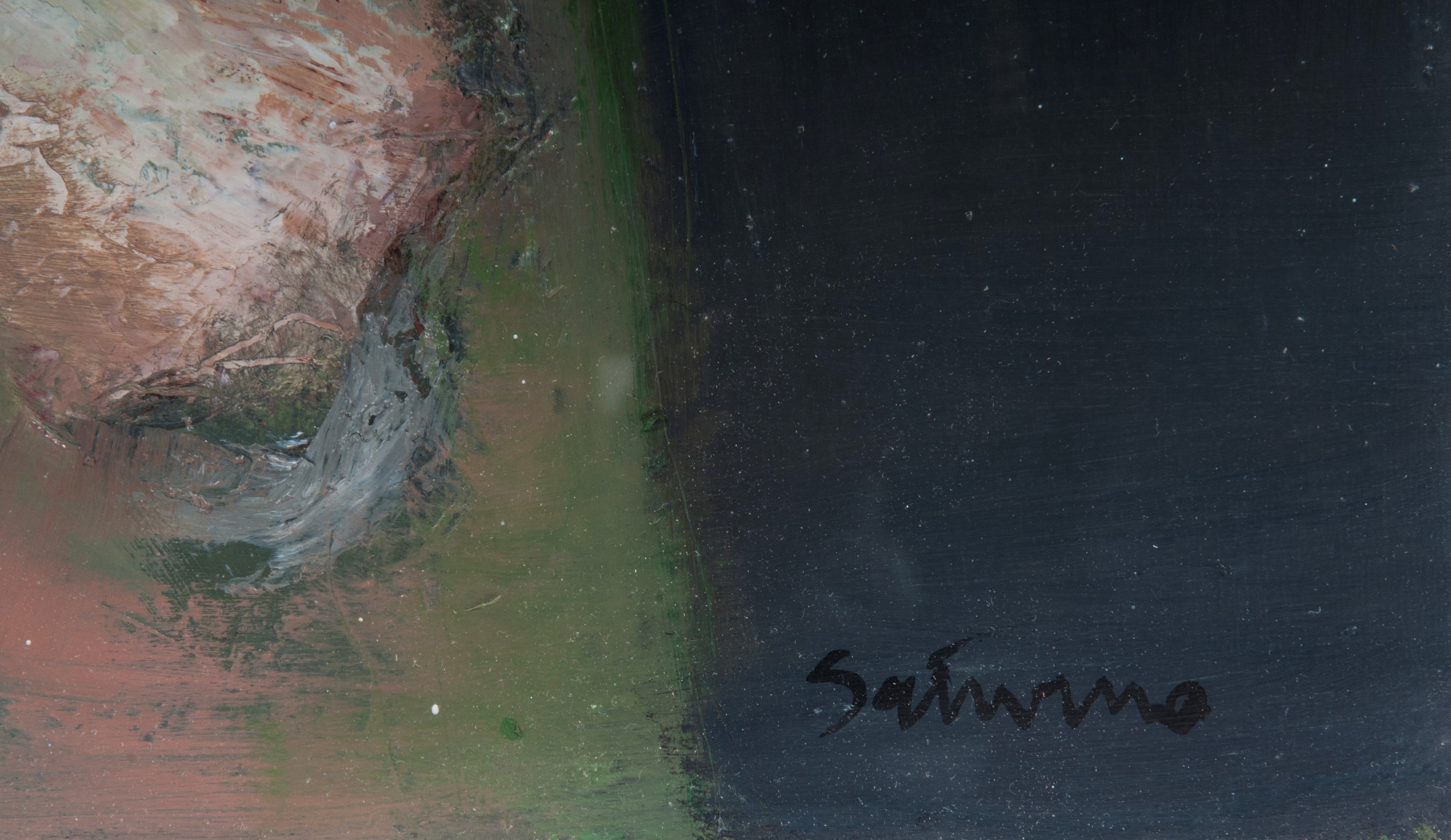 Tronco colpito da fulmine