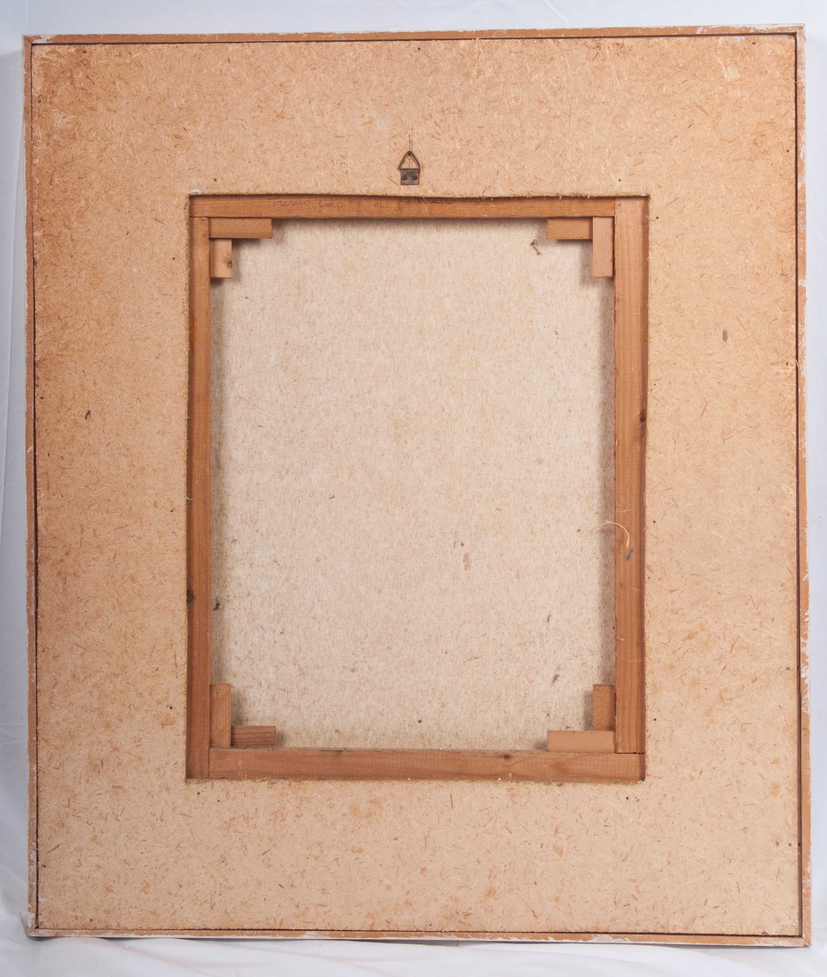 Tronco colpito da fulmine