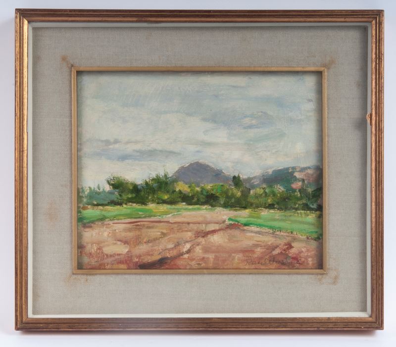 Raul Viviani - Campagna di Abano