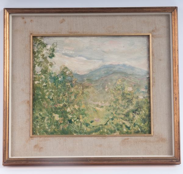 RAUL VIVIANI - Surroundings of Cunardo