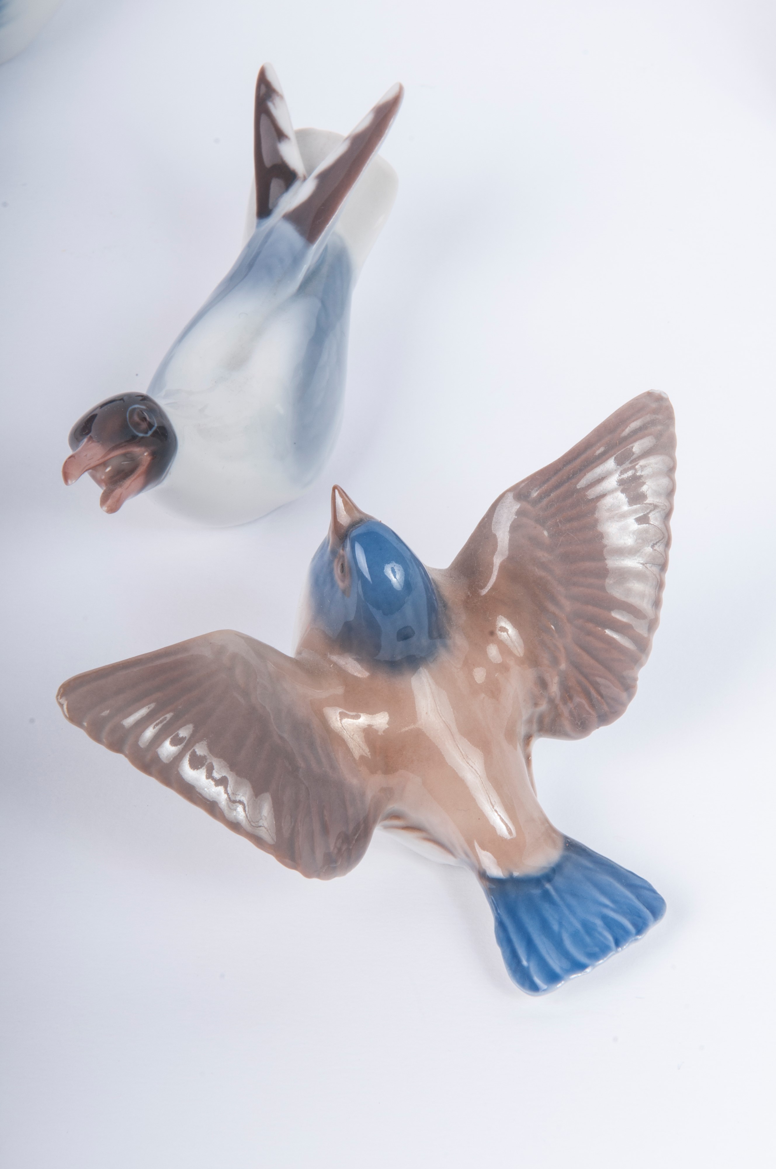 Lotto di Sei Sculture di Volatili