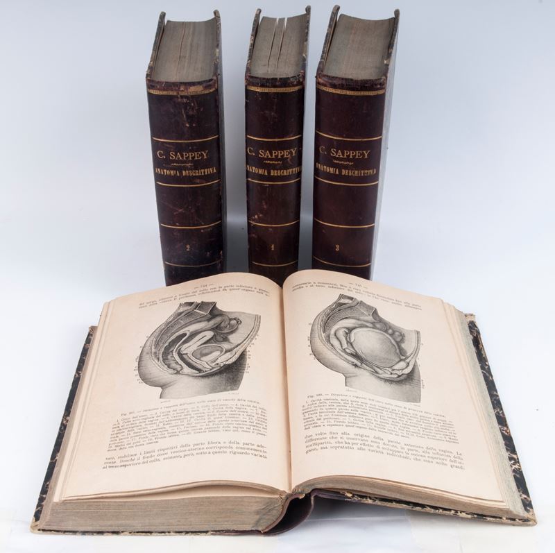 Marie- Philibert Constant Sappey - Trattato di Anatomia Descrittiva