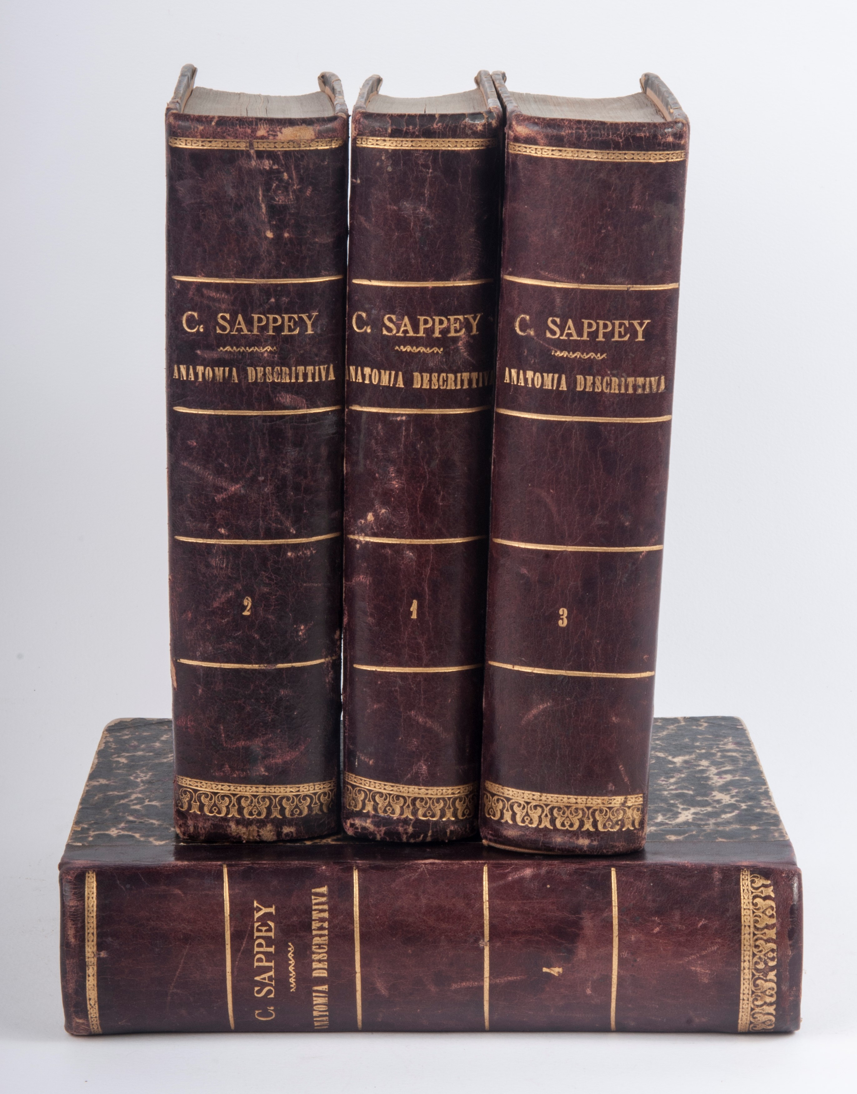 Marie- Philibert Constant Sappey - Trattato di Anatomia Descrittiva