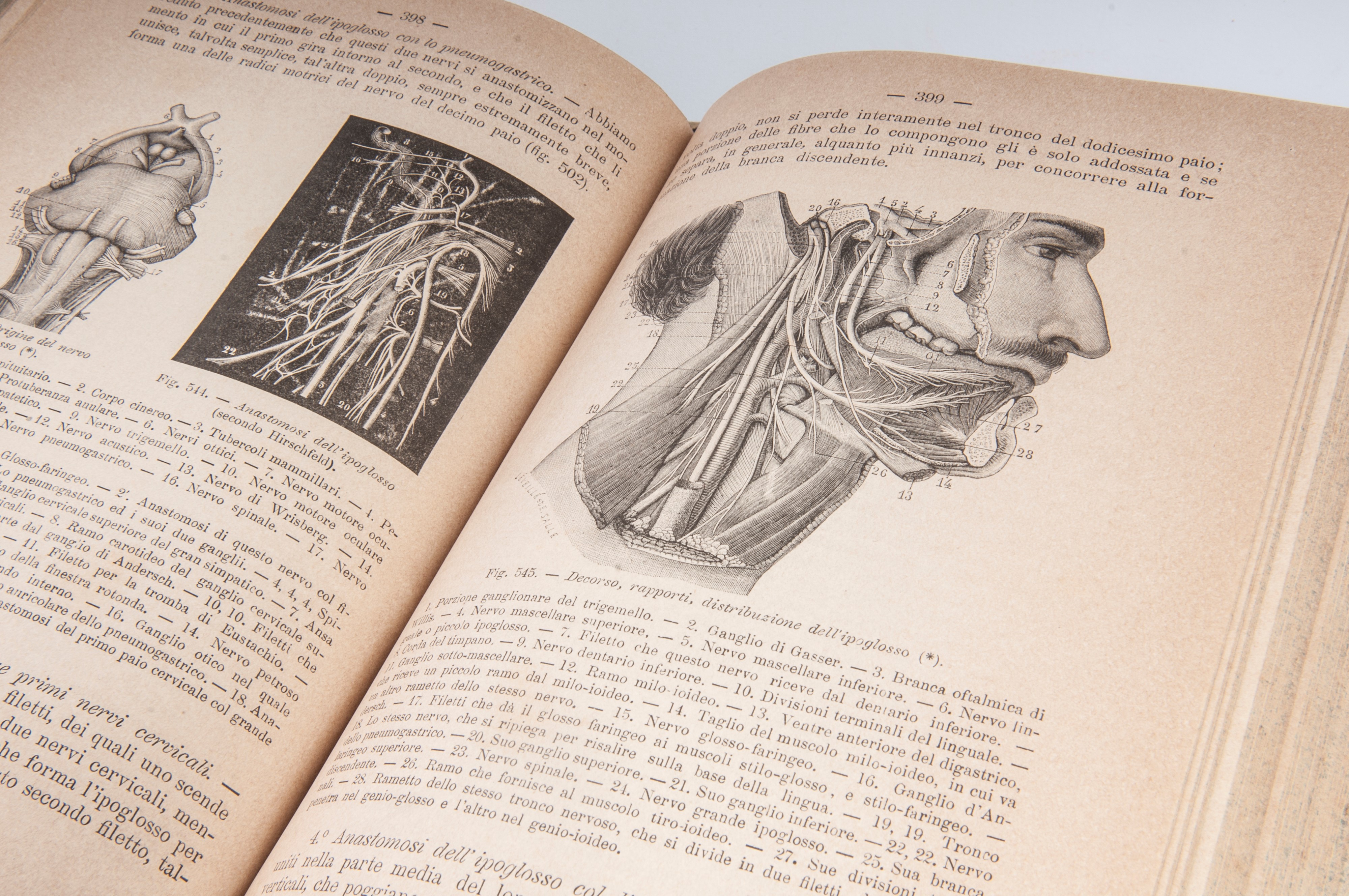 Marie- Philibert Constant Sappey - Trattato di Anatomia Descrittiva