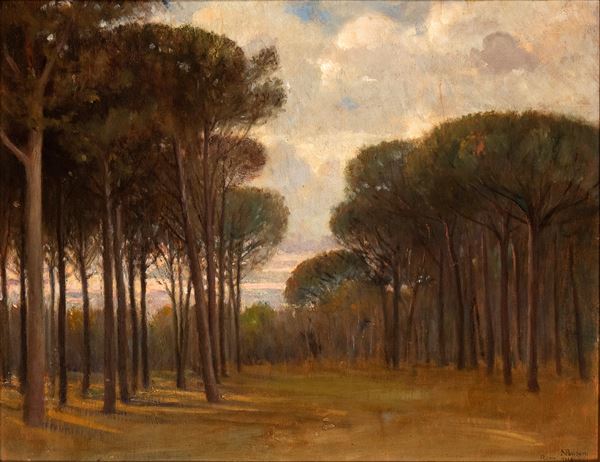 NAPOLEONE PARISANI - Fregene pinewood