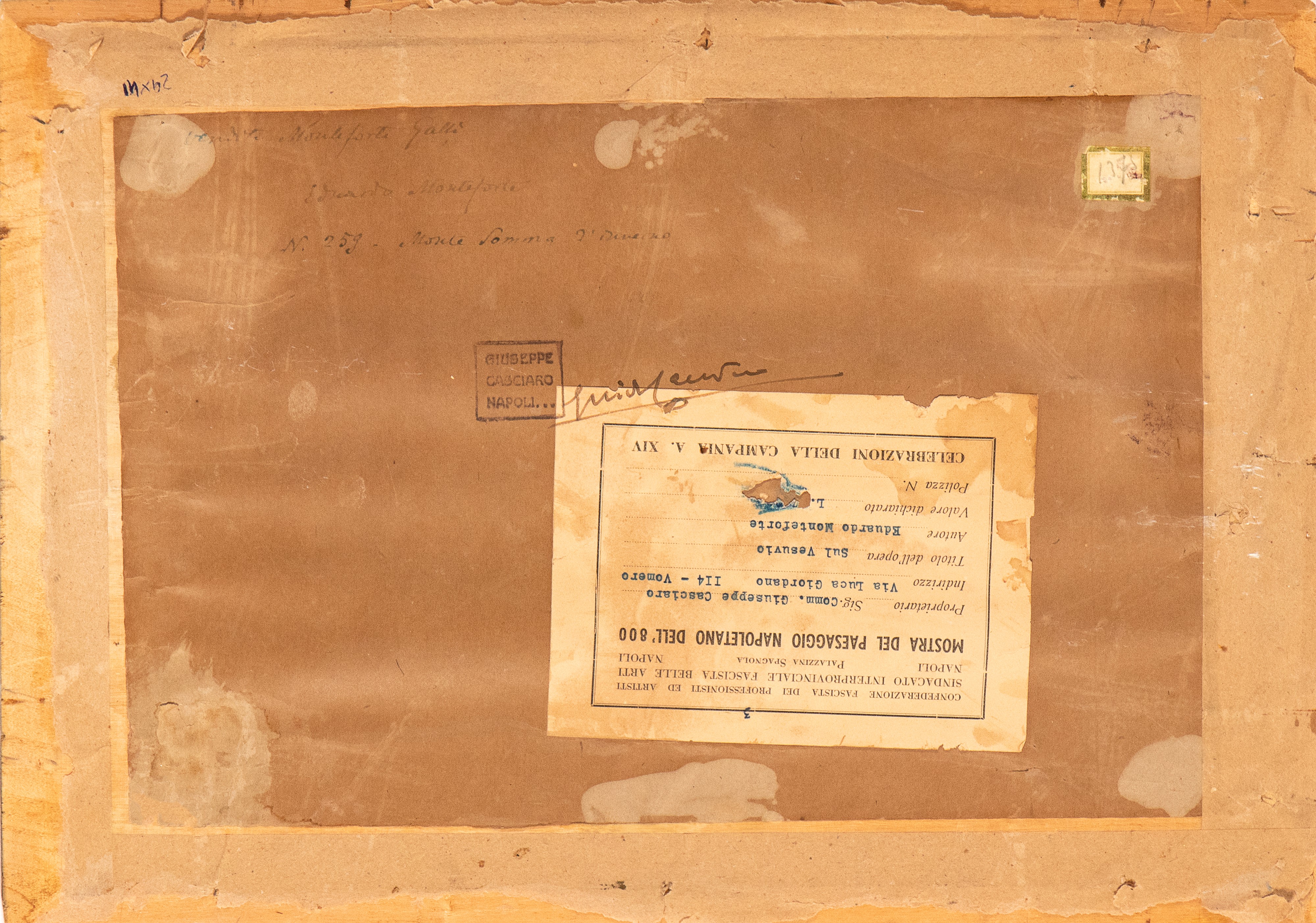 Paesaggio con veduta del Monte Somma