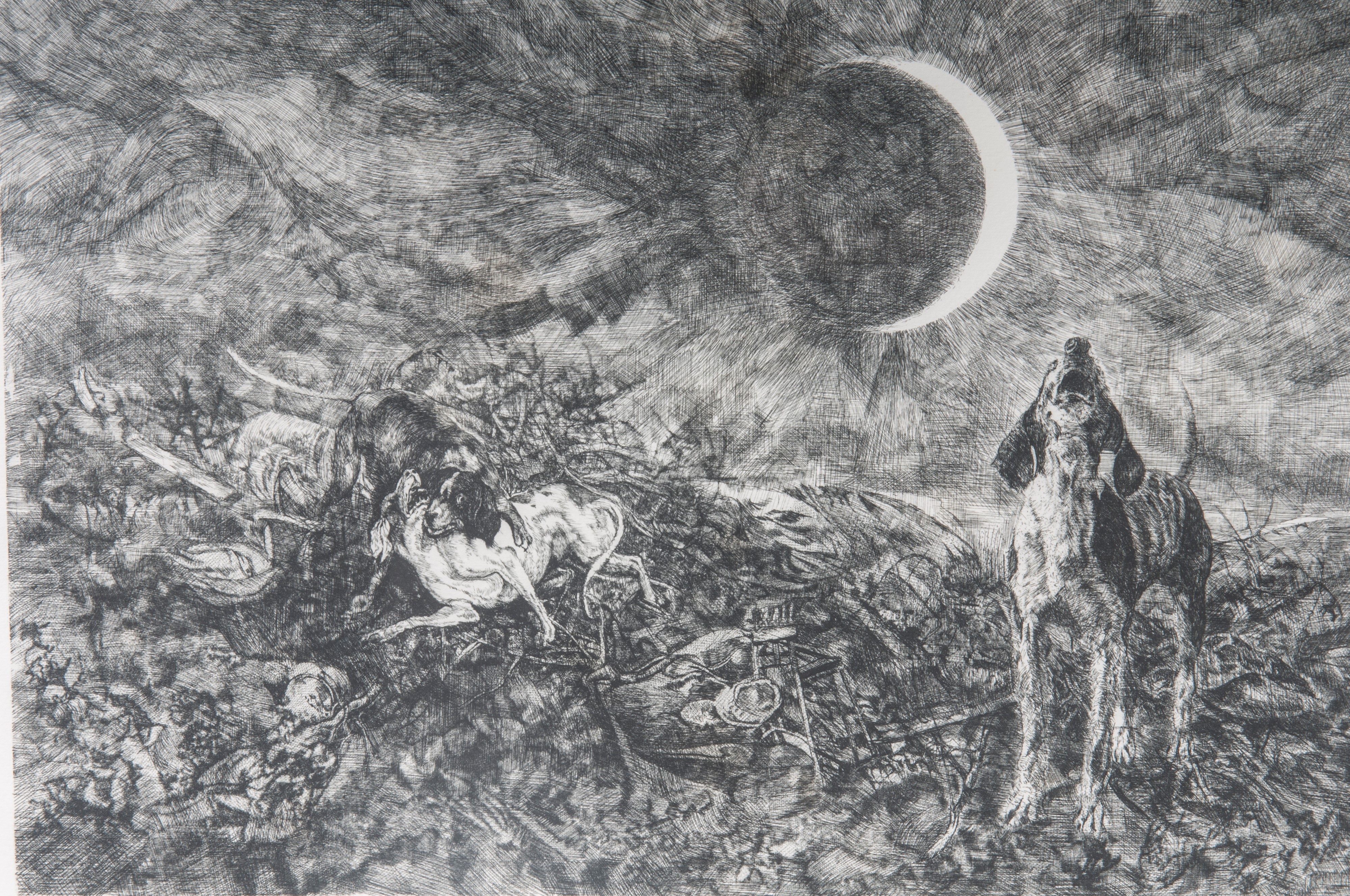 Lotto di quattordici multipli su carta