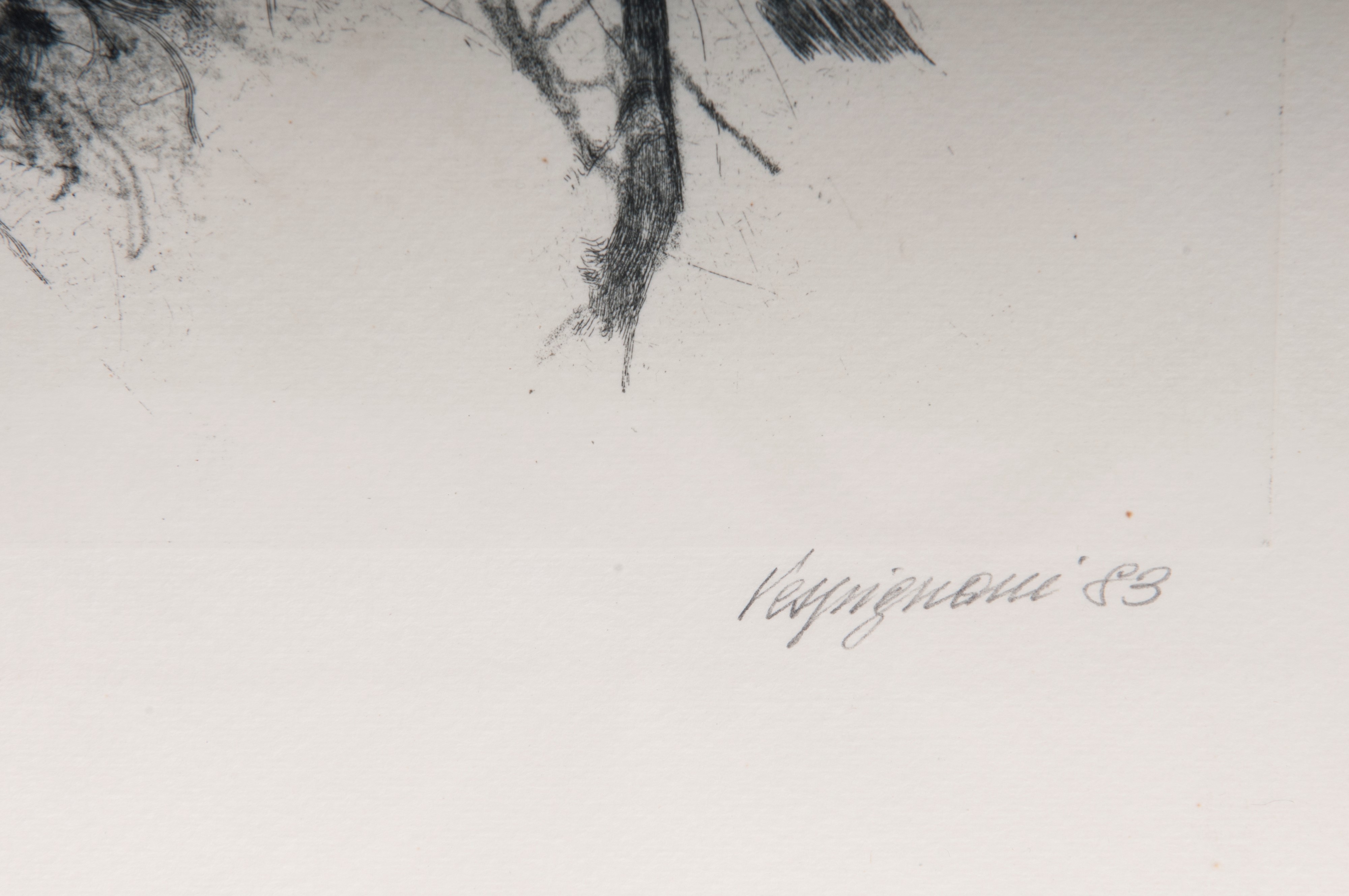 Lotto di quattordici multipli su carta