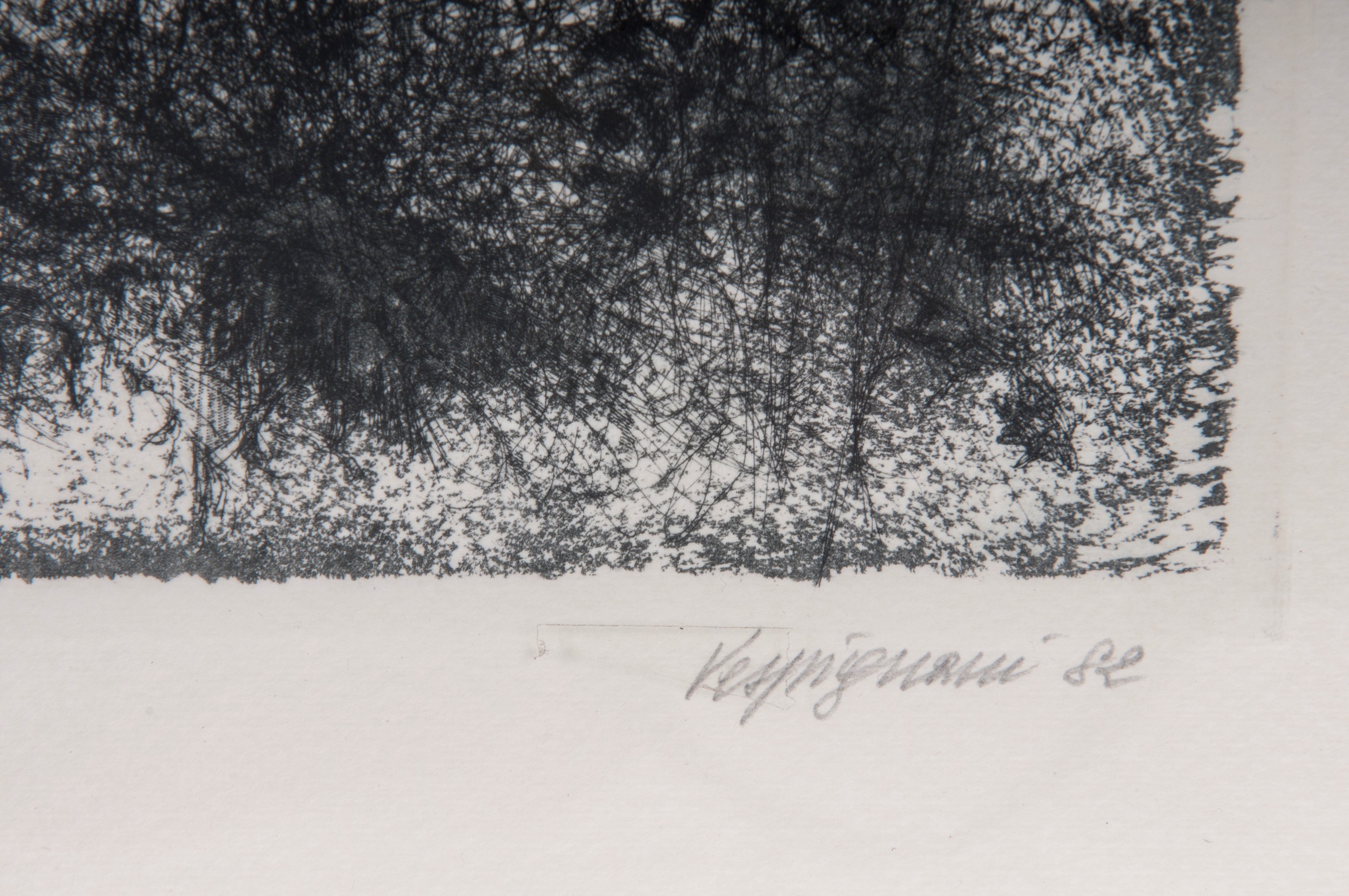 Lotto di quattordici multipli su carta