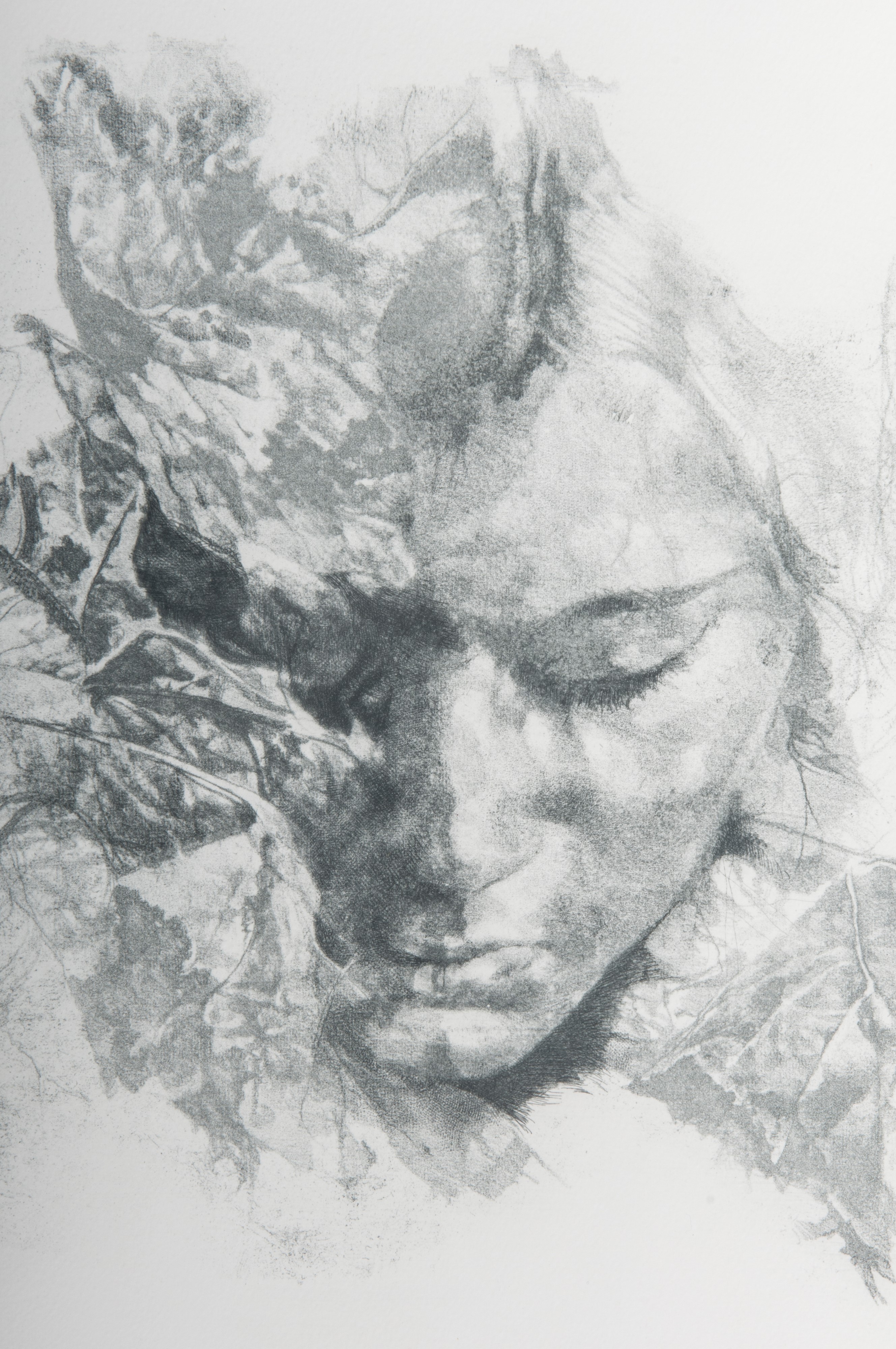 Lotto di quattordici multipli su carta