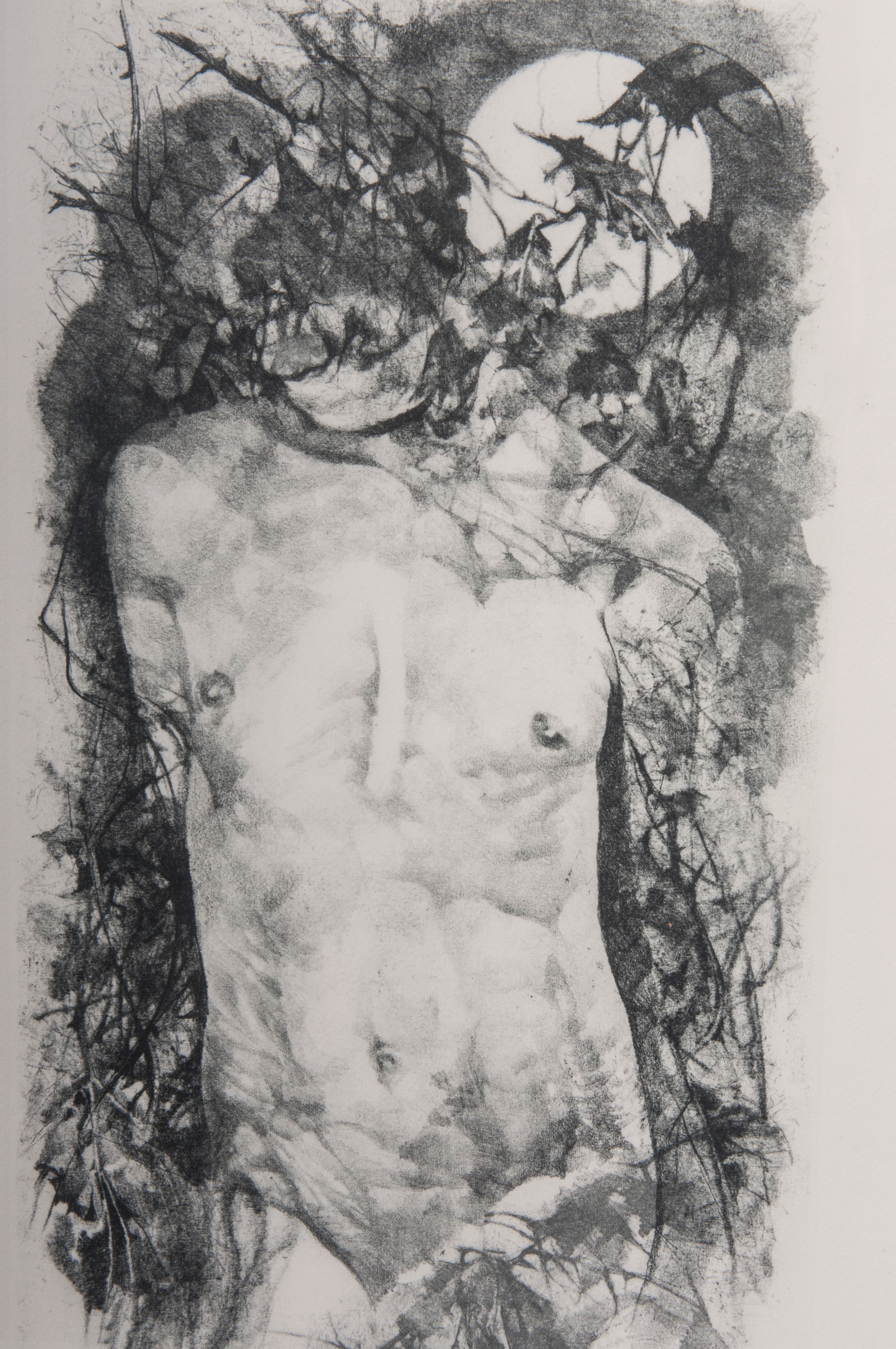 Lotto di quattordici multipli su carta