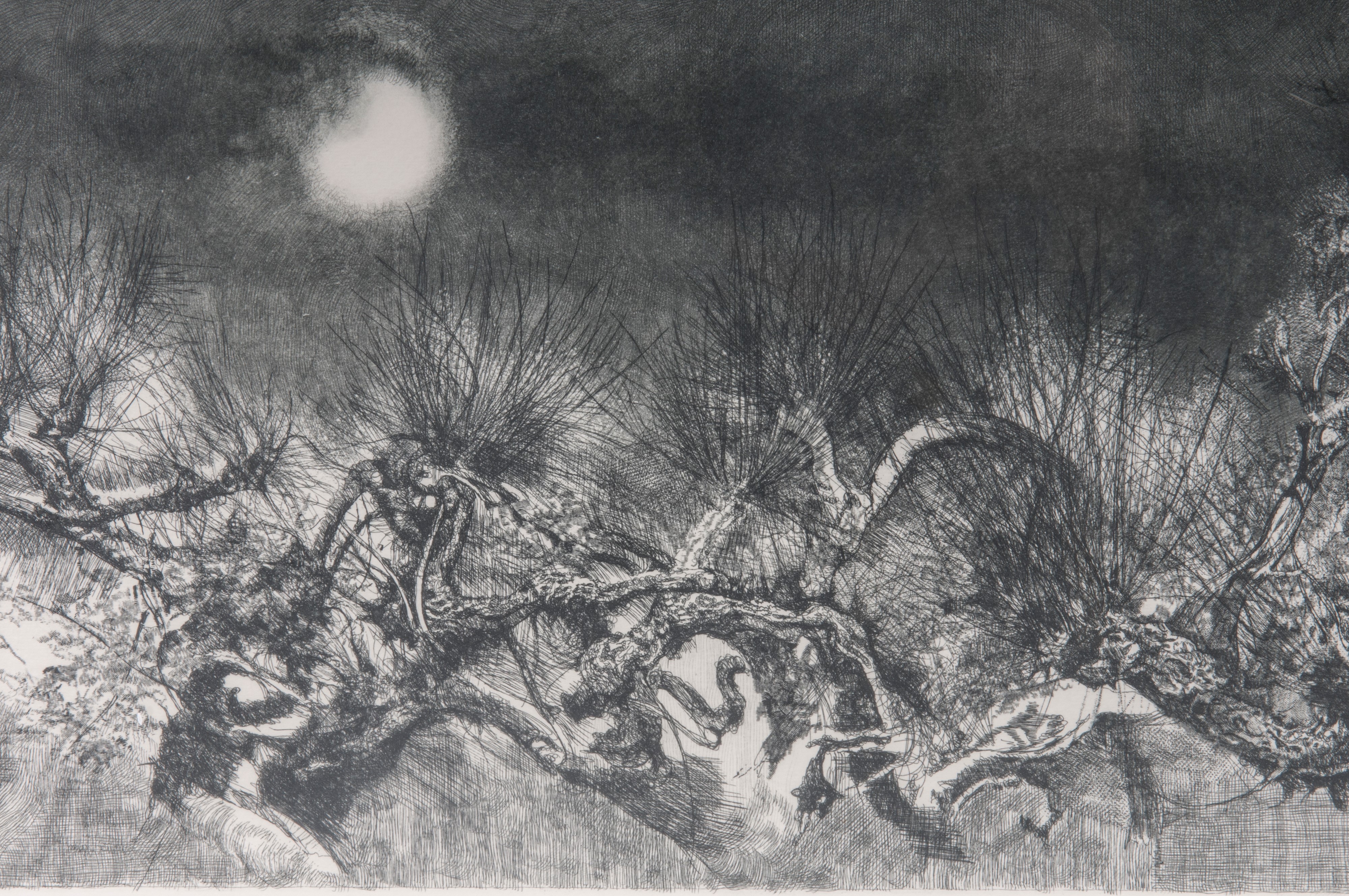 Lotto di quattordici multipli su carta