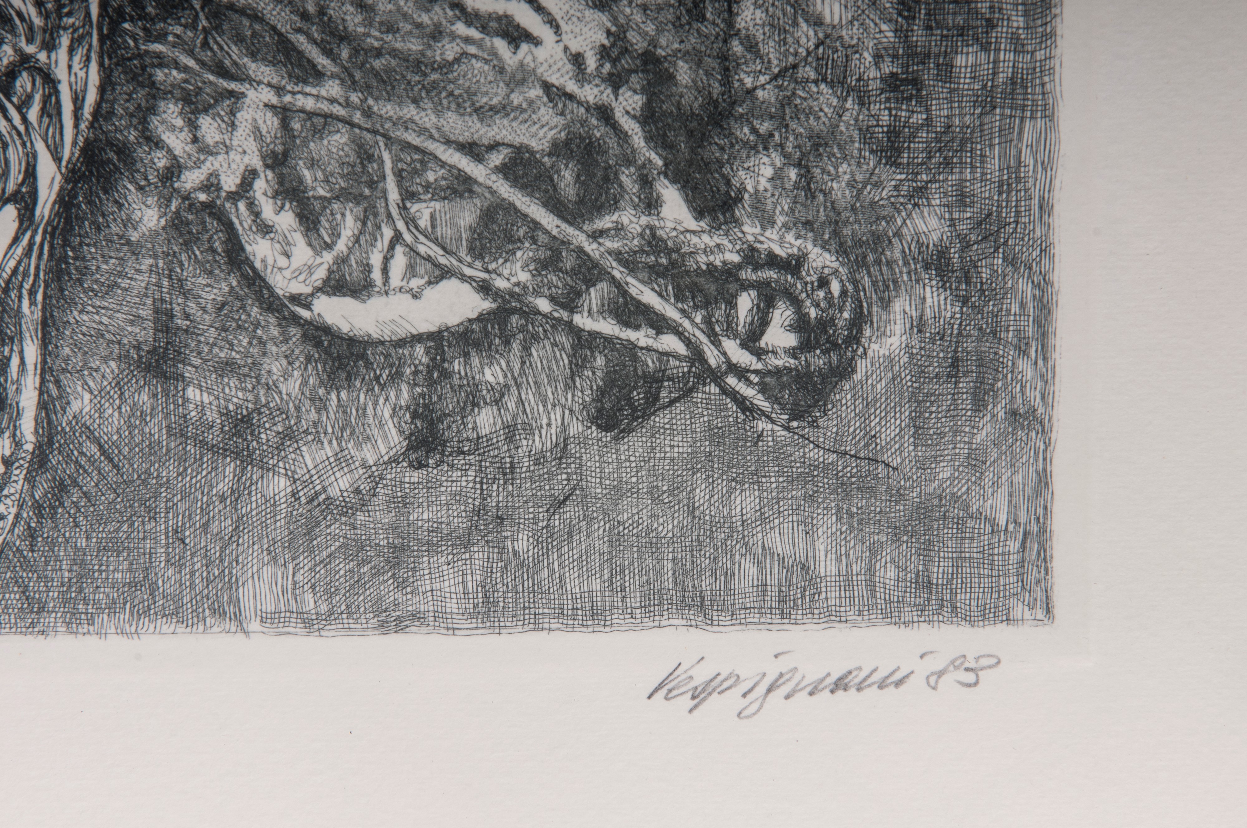 Lotto di quattordici multipli su carta