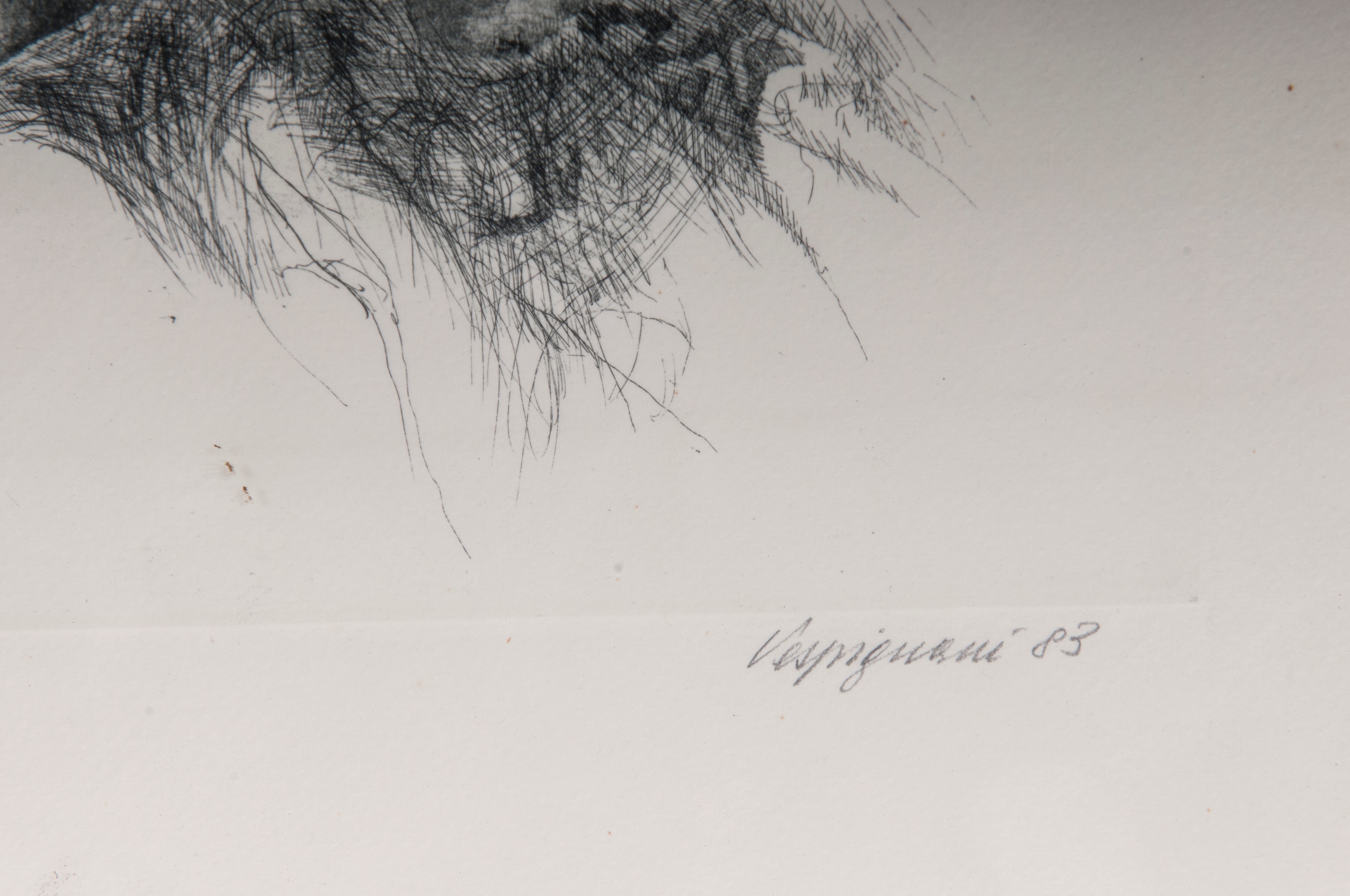 Lotto di quattordici multipli su carta