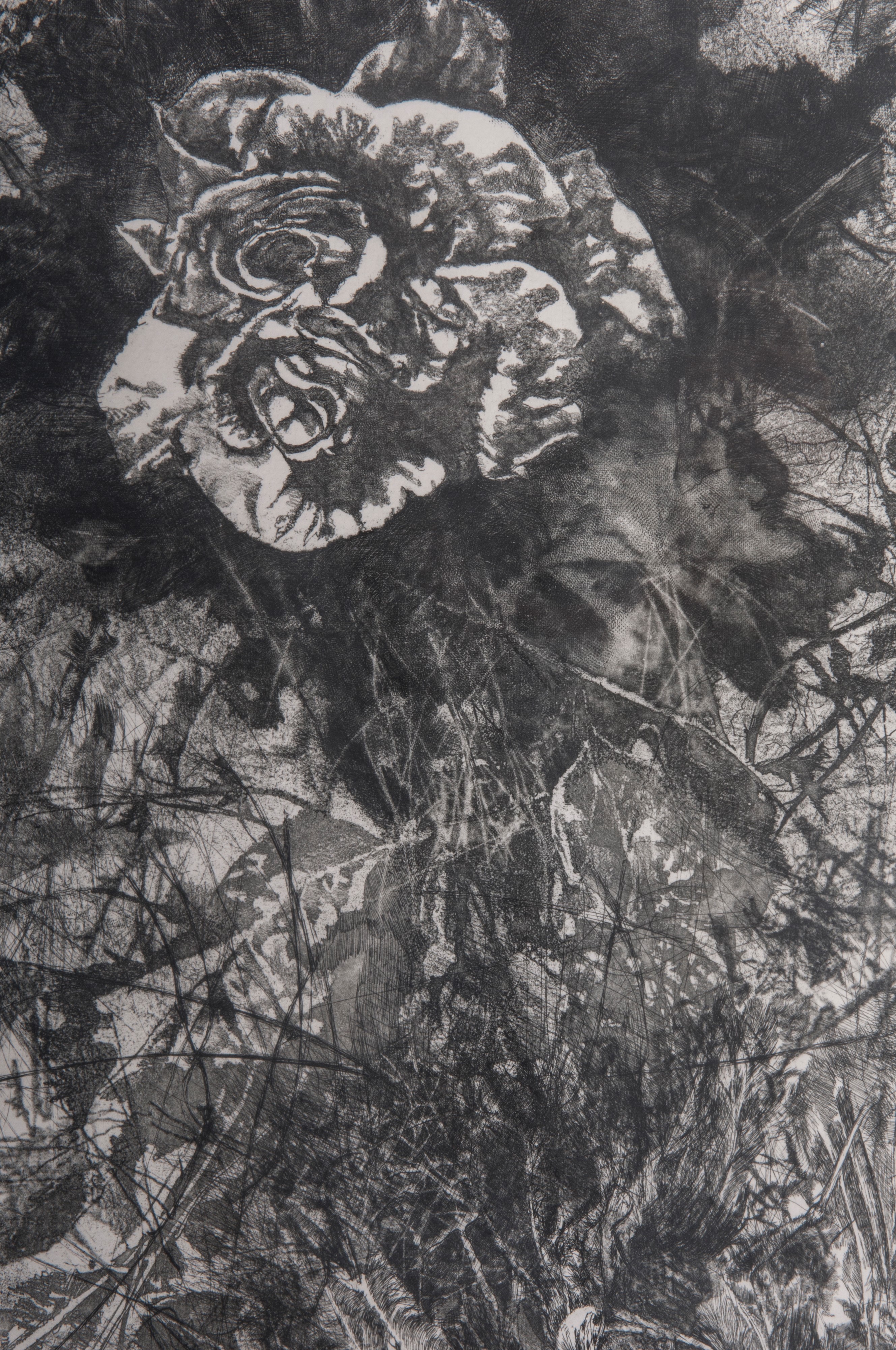 Lotto di quattordici multipli su carta