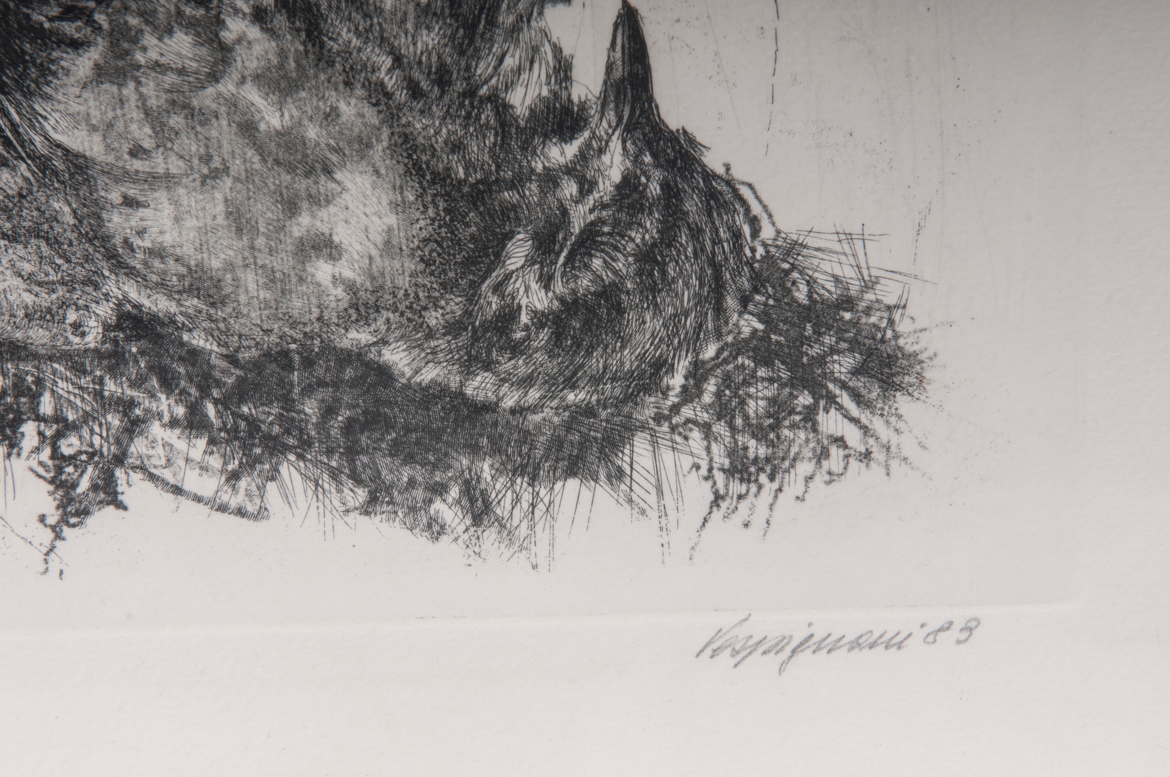 Lotto di quattordici multipli su carta