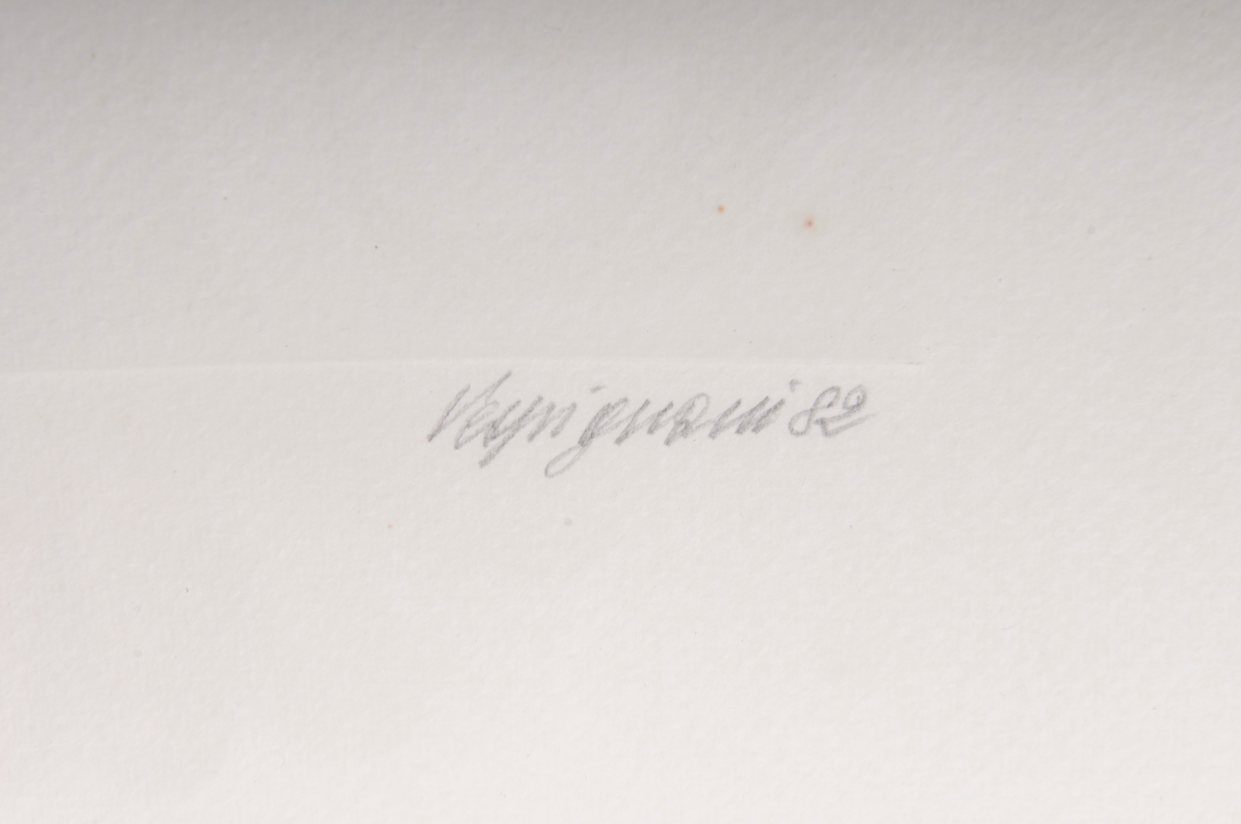 Lotto di quattordici multipli su carta