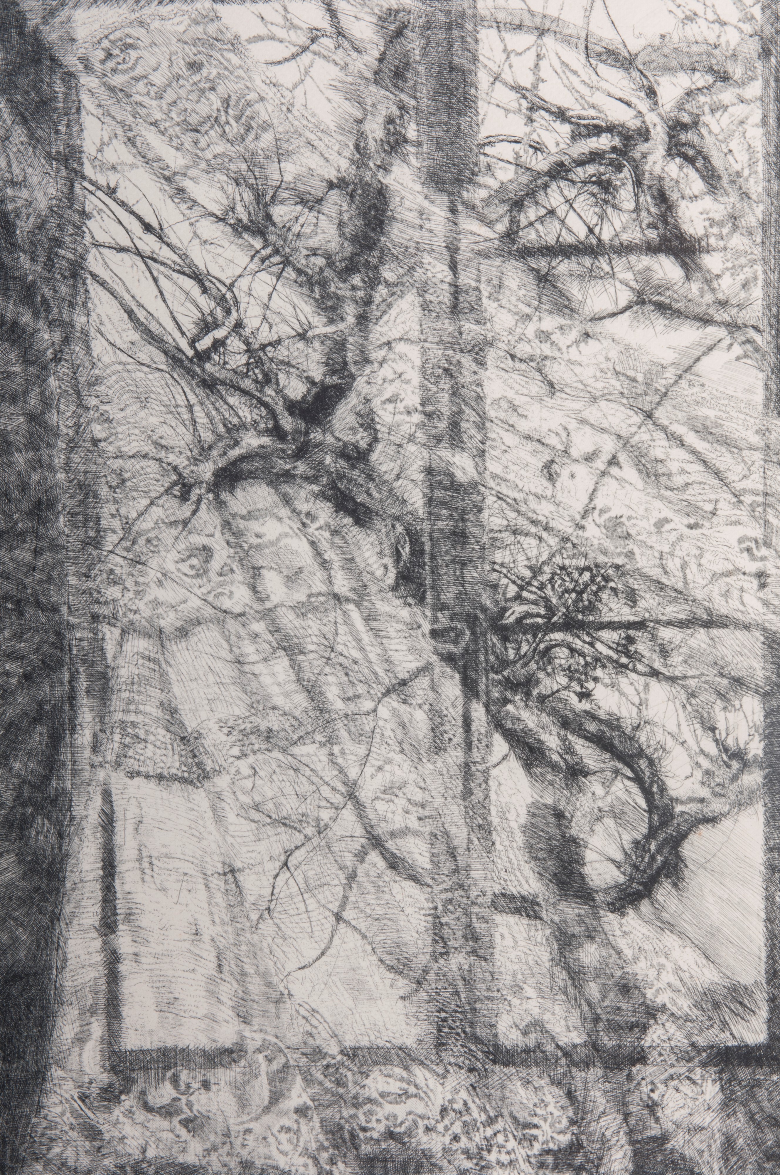 Lotto di quattordici multipli su carta