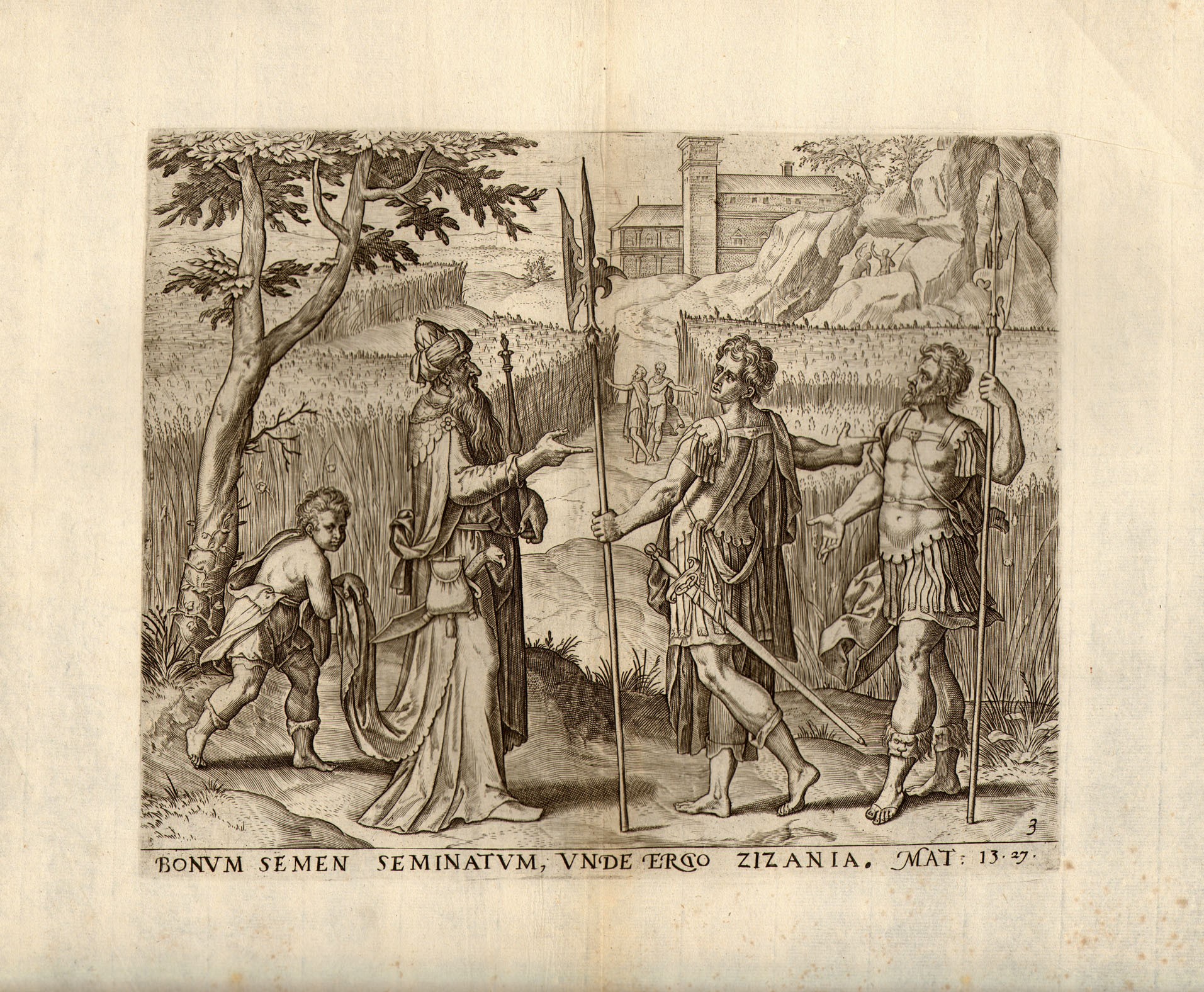 La parabola della Zizzania (Matteo 24-30)