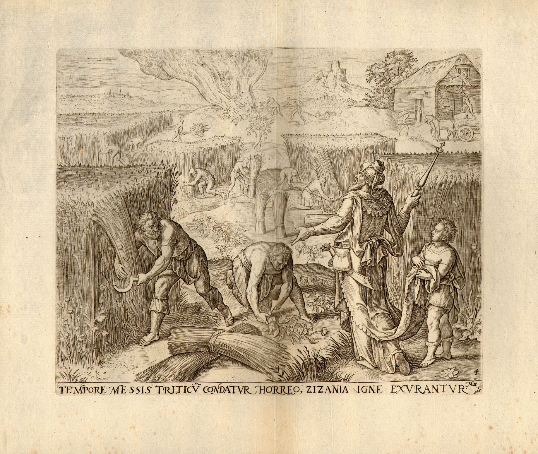 La parabola della Zizzania (Matteo 24-30)